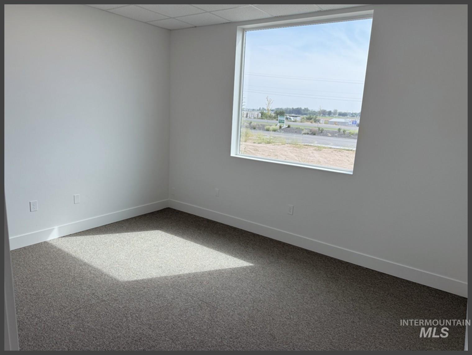 Empty room featuring carpet and a paneled ceiling