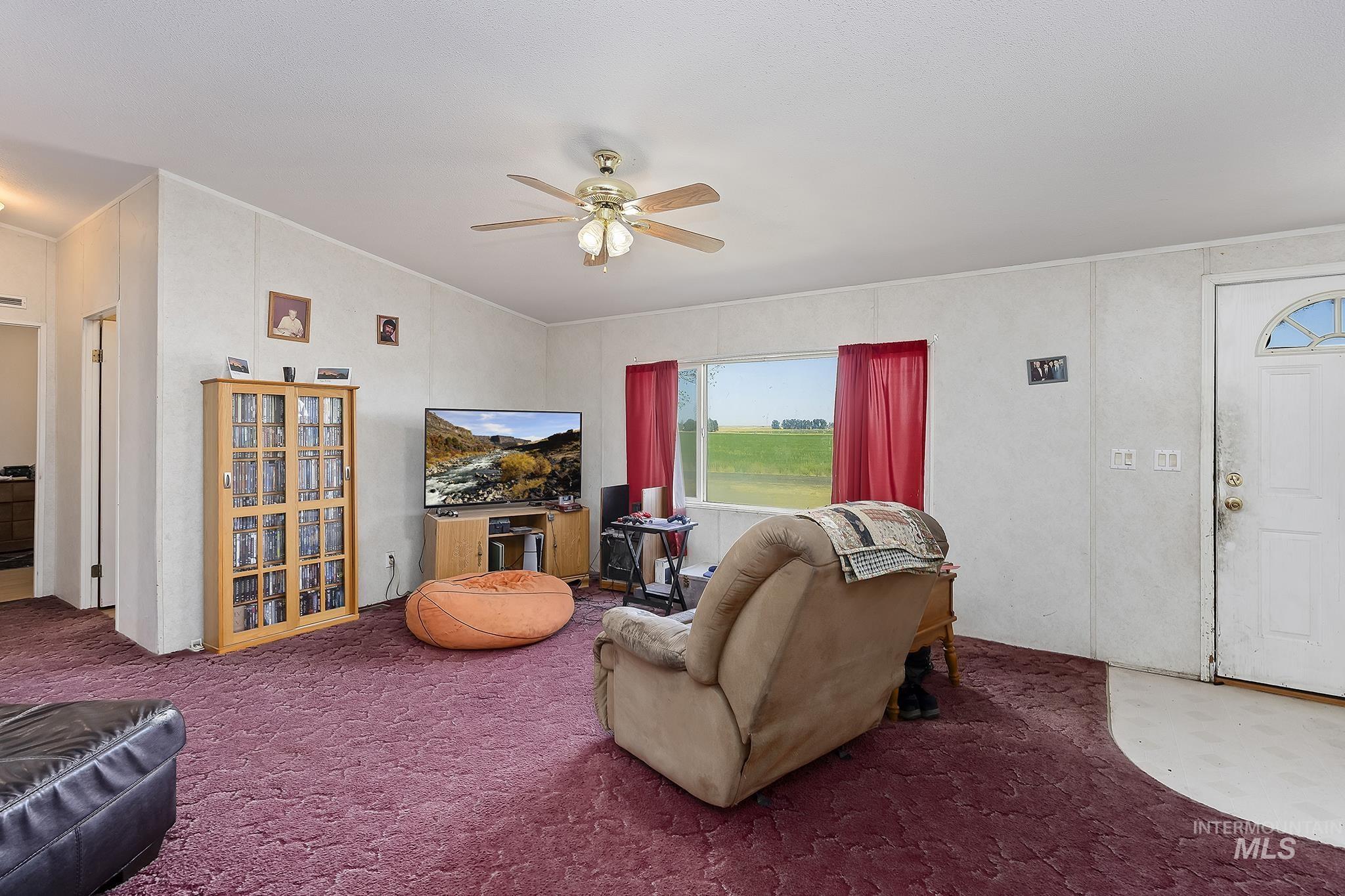 Carpeted living room with ceiling fan