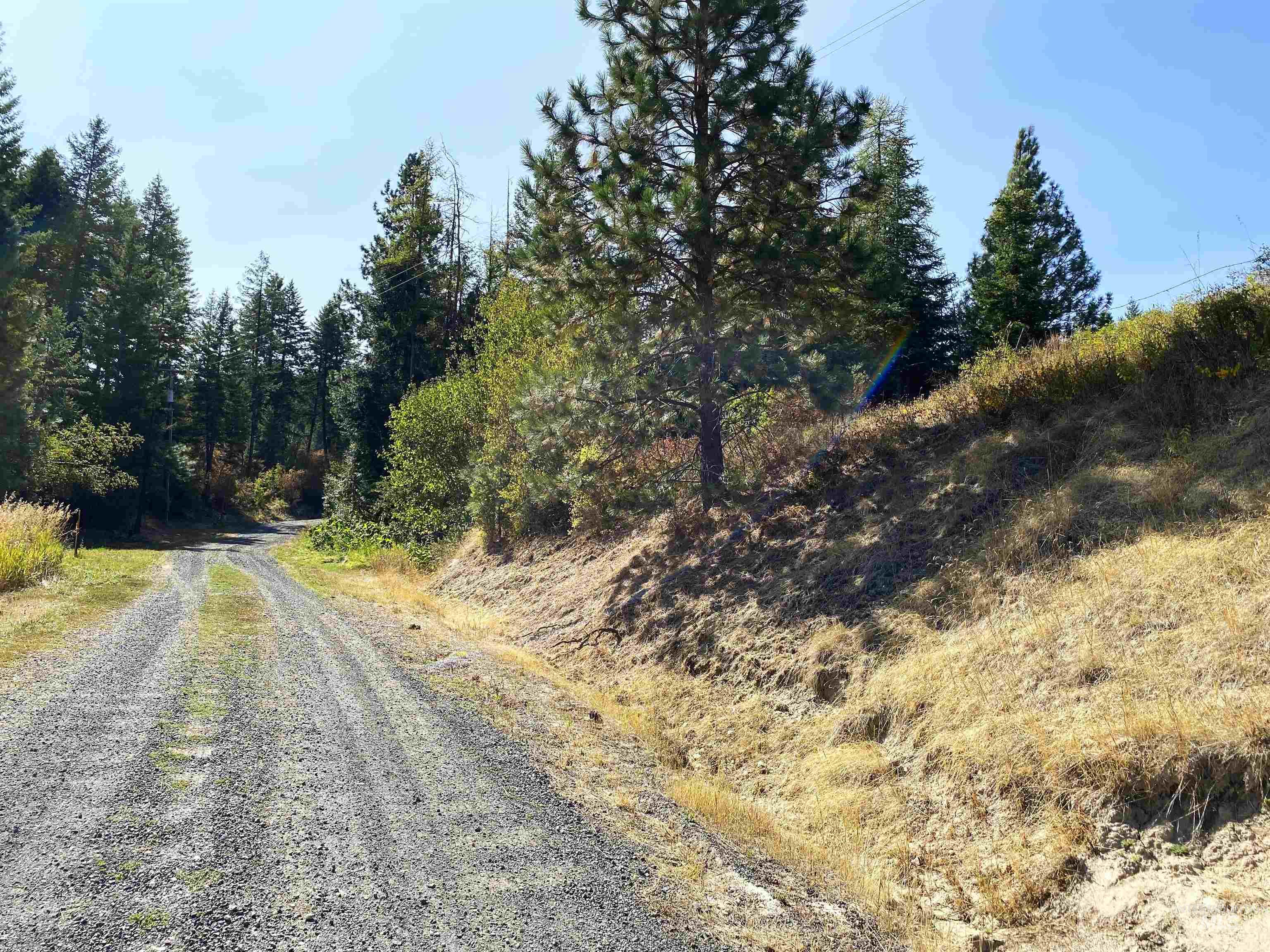 1007 W Hatter Creek, Princeton, Idaho 83857, 3 Bedrooms, 2 Bathrooms, Residential For Sale, Price $399,000, 98962042