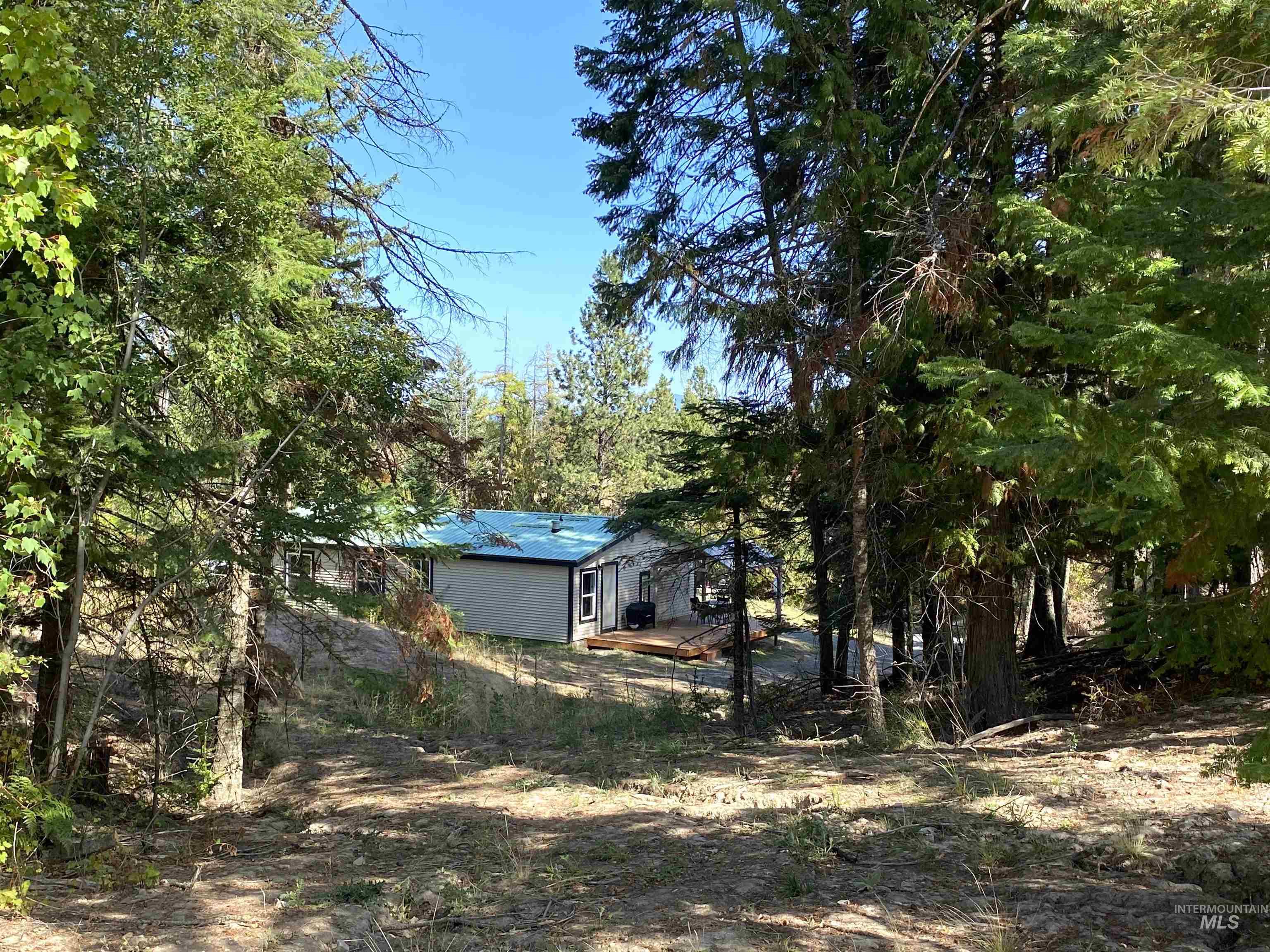 1007 W Hatter Creek, Princeton, Idaho 83857, 3 Bedrooms, 2 Bathrooms, Residential For Sale, Price $399,000, 98962042