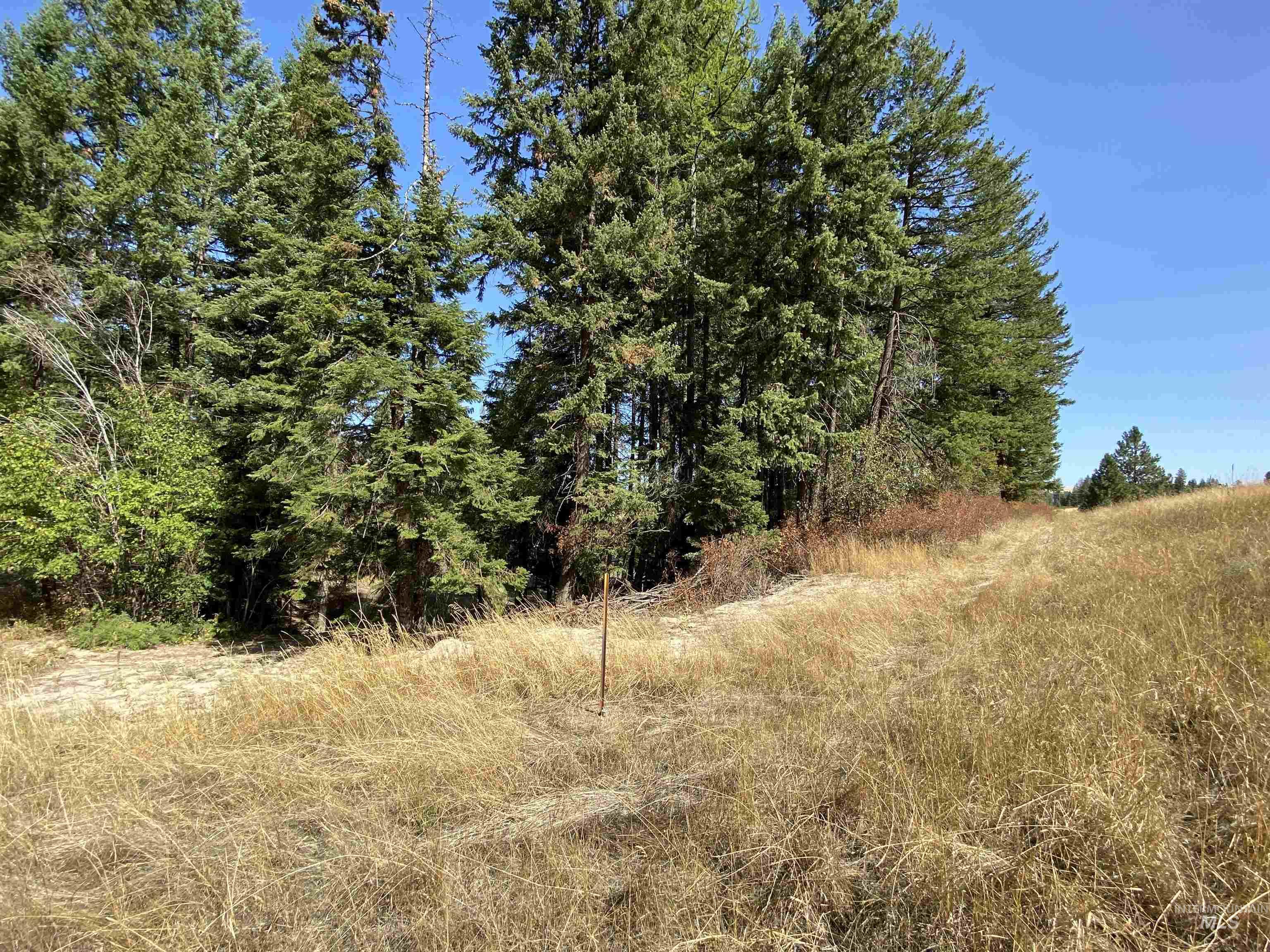 1007 W Hatter Creek, Princeton, Idaho 83857, 3 Bedrooms, 2 Bathrooms, Residential For Sale, Price $399,000, 98962042