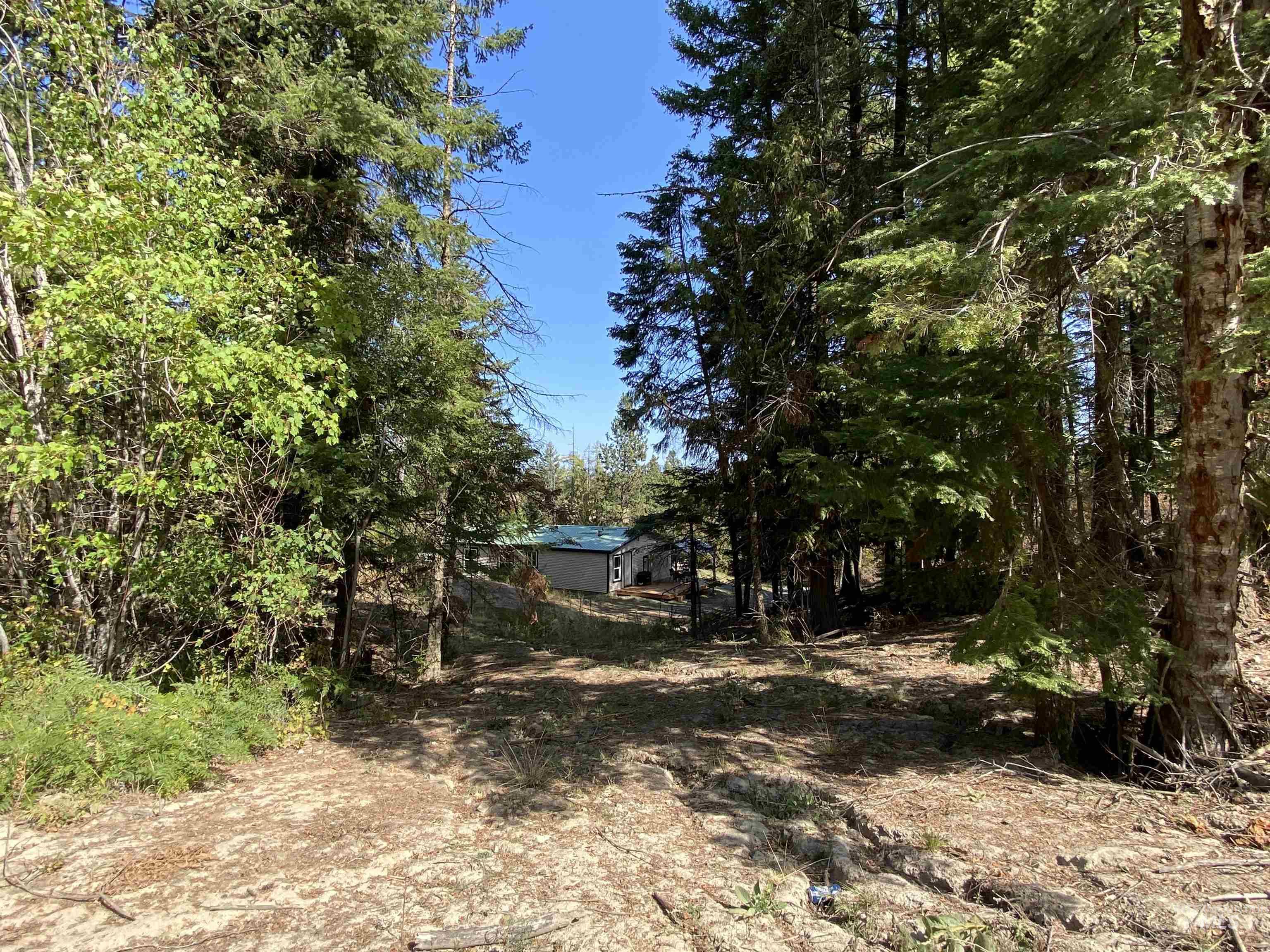 1007 W Hatter Creek, Princeton, Idaho 83857, 3 Bedrooms, 2 Bathrooms, Residential For Sale, Price $399,000, 98962042