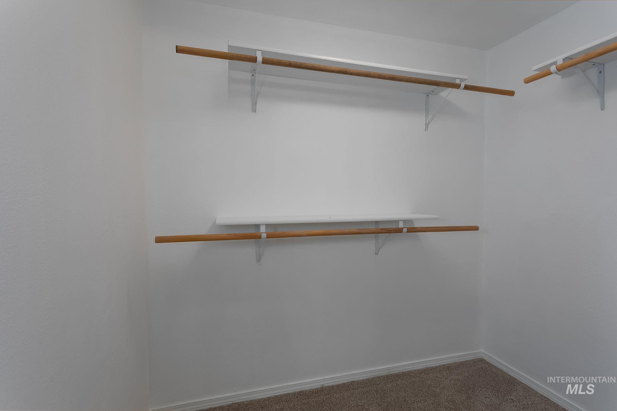 Walk in closet with carpet floors