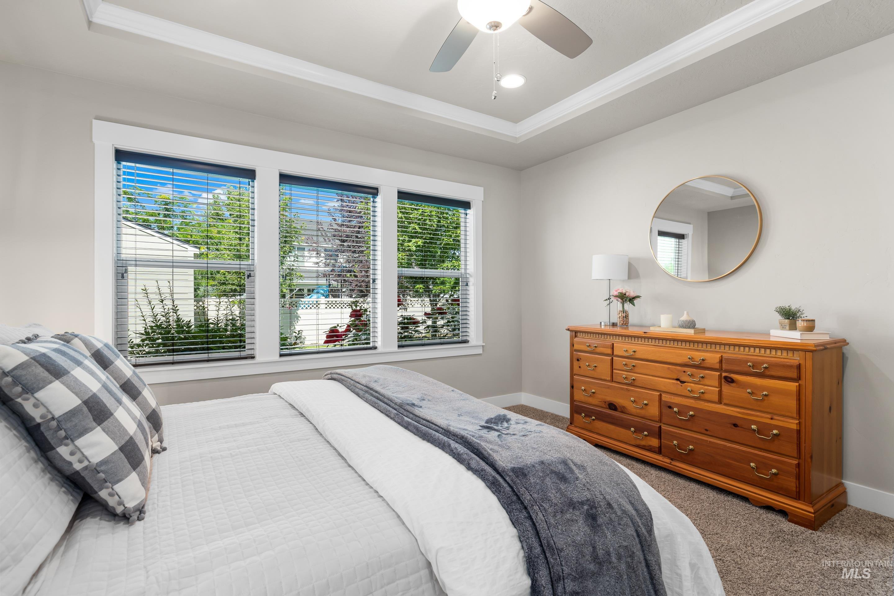 Bedroom with multiple windows, carpet floors, a tray ceiling, a ceiling fan, and crown molding