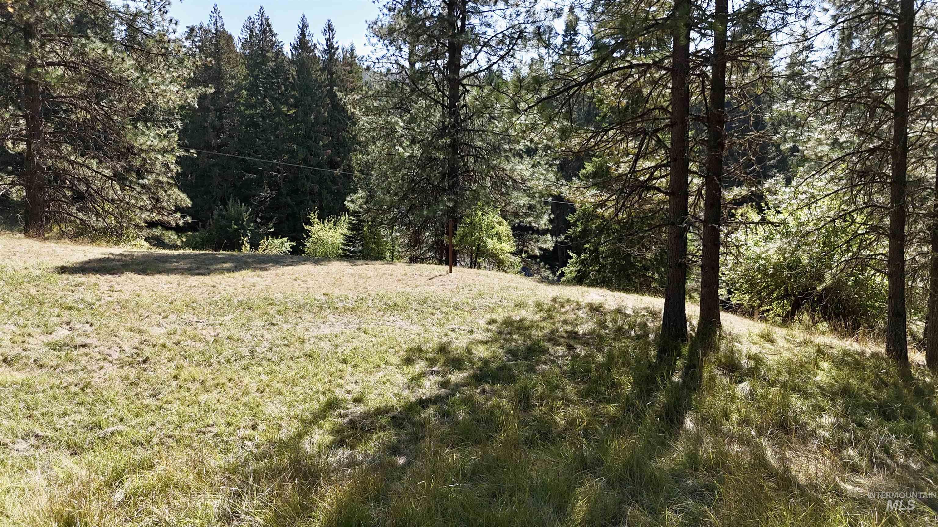 751 Big Cedar Rd., Kooskia, Idaho 83539, 3 Bedrooms, 1 Bathroom, Residential For Sale, Price $295,000, 98962100