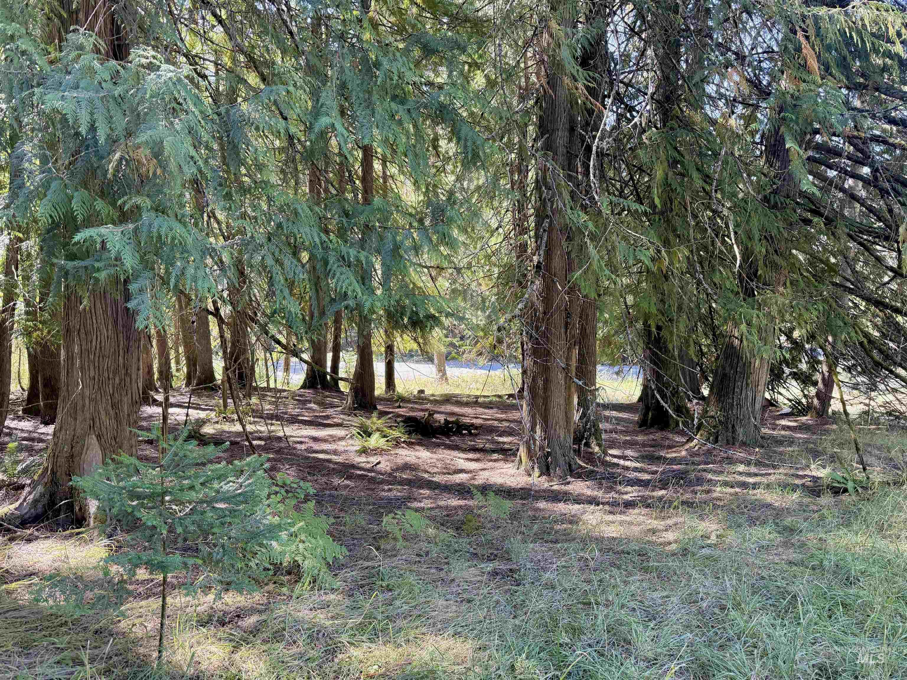 751 Big Cedar Rd., Kooskia, Idaho 83539, 3 Bedrooms, 1 Bathroom, Residential For Sale, Price $295,000, 98962100
