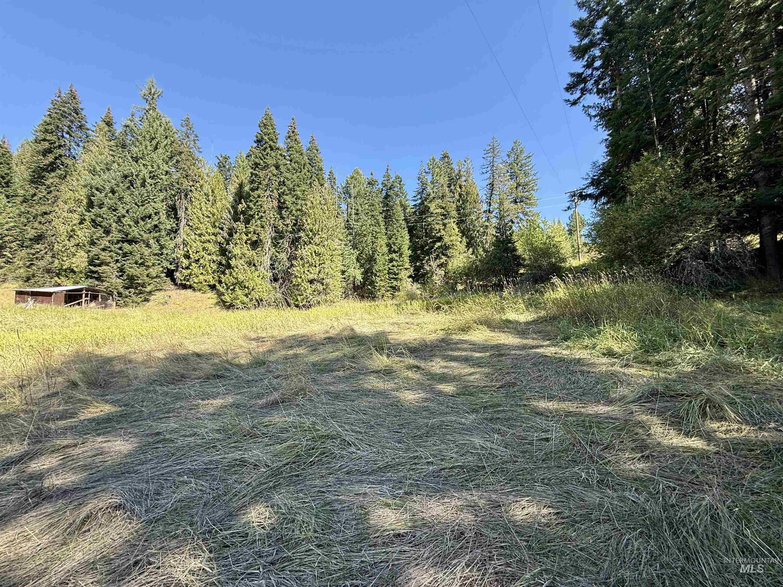 751 Big Cedar Rd., Kooskia, Idaho 83539, 3 Bedrooms, 1 Bathroom, Residential For Sale, Price $295,000, 98962100