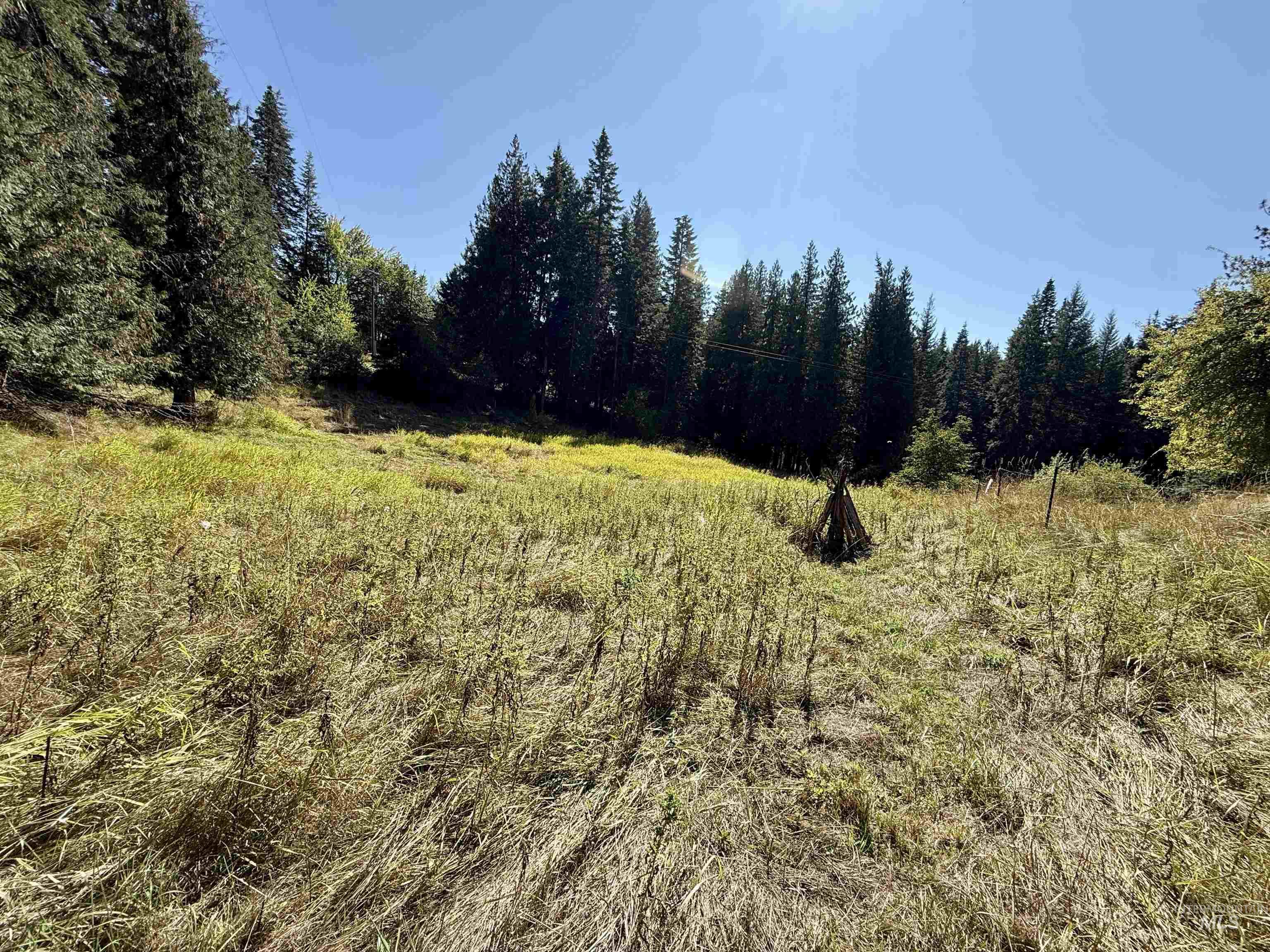 751 Big Cedar Rd., Kooskia, Idaho 83539, 3 Bedrooms, 1 Bathroom, Residential For Sale, Price $295,000, 98962100