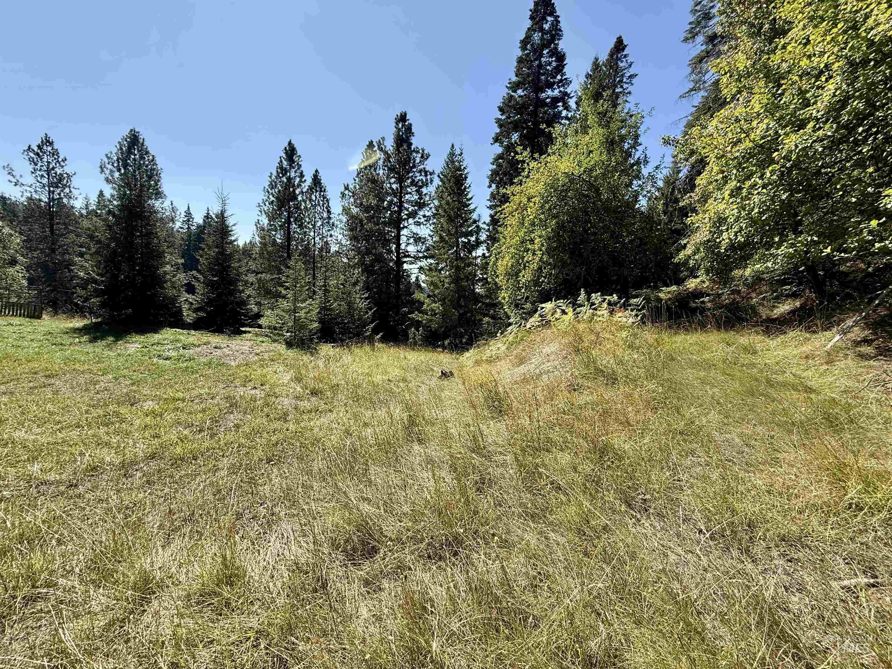 751 Big Cedar Rd., Kooskia, Idaho 83539, 3 Bedrooms, 1 Bathroom, Residential For Sale, Price $295,000, 98962100