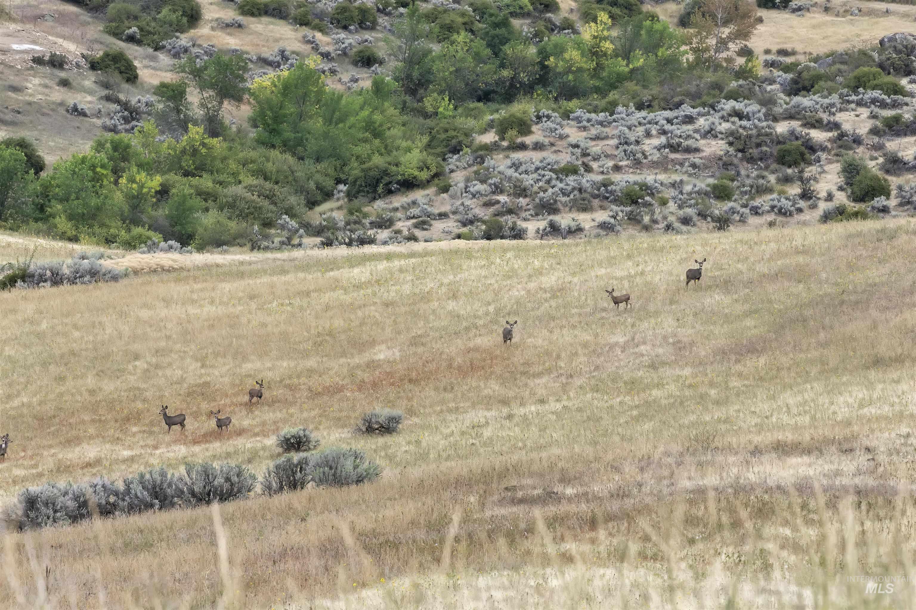 35 Lorraine Lane, Horseshoe Bend, Idaho 83629, Land For Sale, Price $1,290,000, 98962107