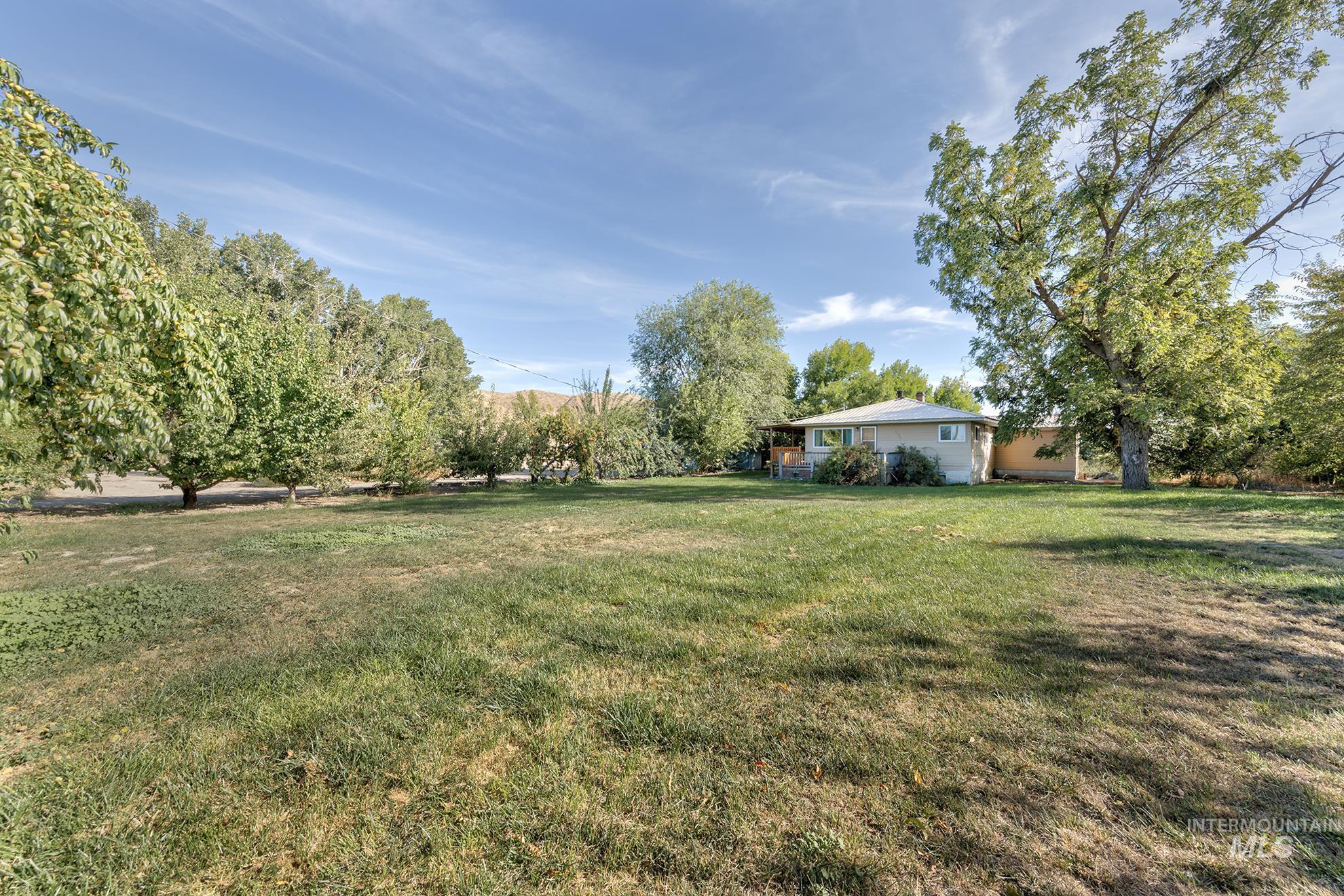 View of green lawn