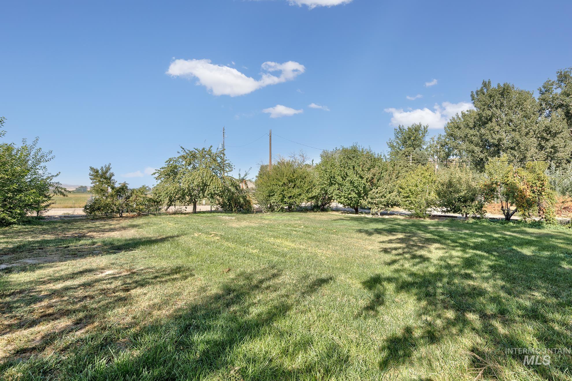 View of green lawn