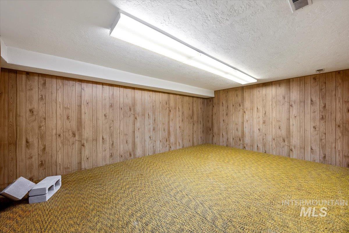 Finished basement with carpet, wooden walls, and a textured ceiling