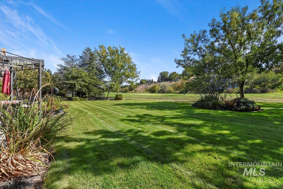 View of green lawn
