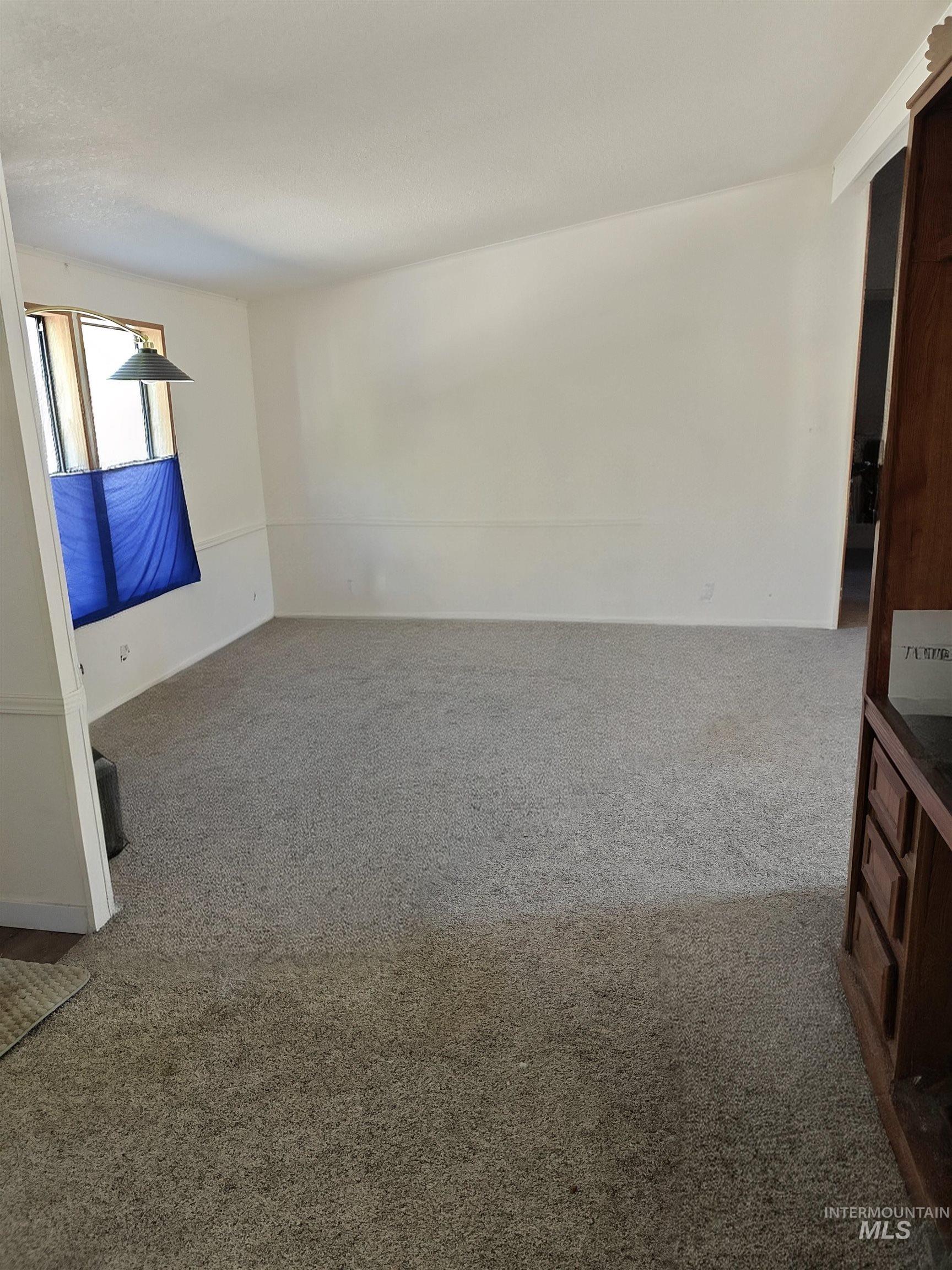 Unfurnished room featuring carpet