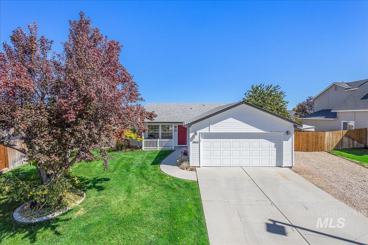 Large driveway and lovely lawn area with a large shade tree.