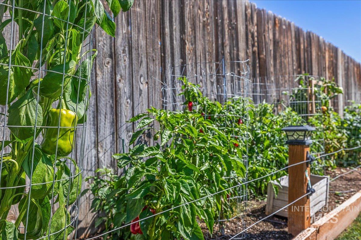 Do you enjoy a garden?  This established garden is ready for you to grown your own favs!