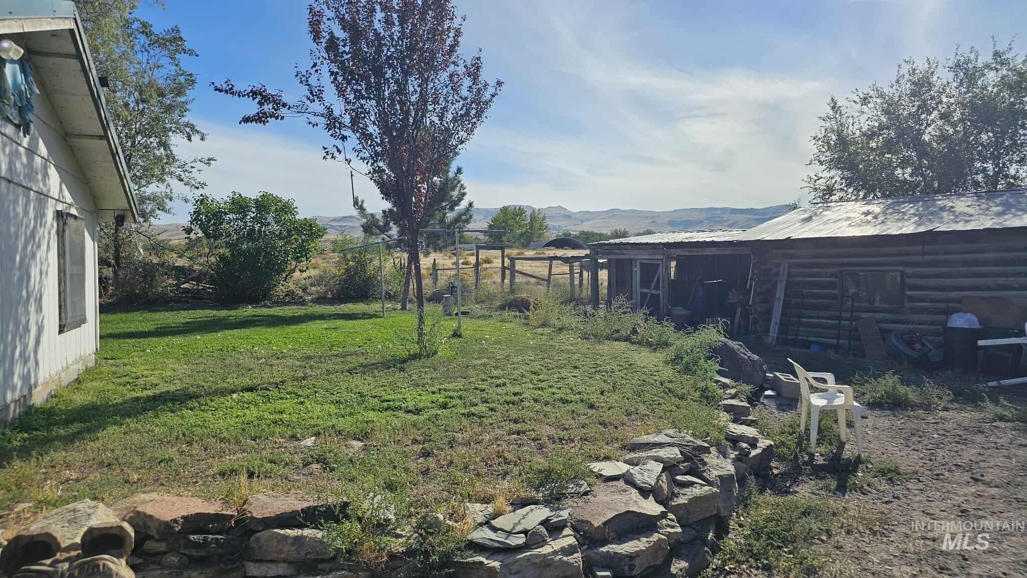 View of green lawn