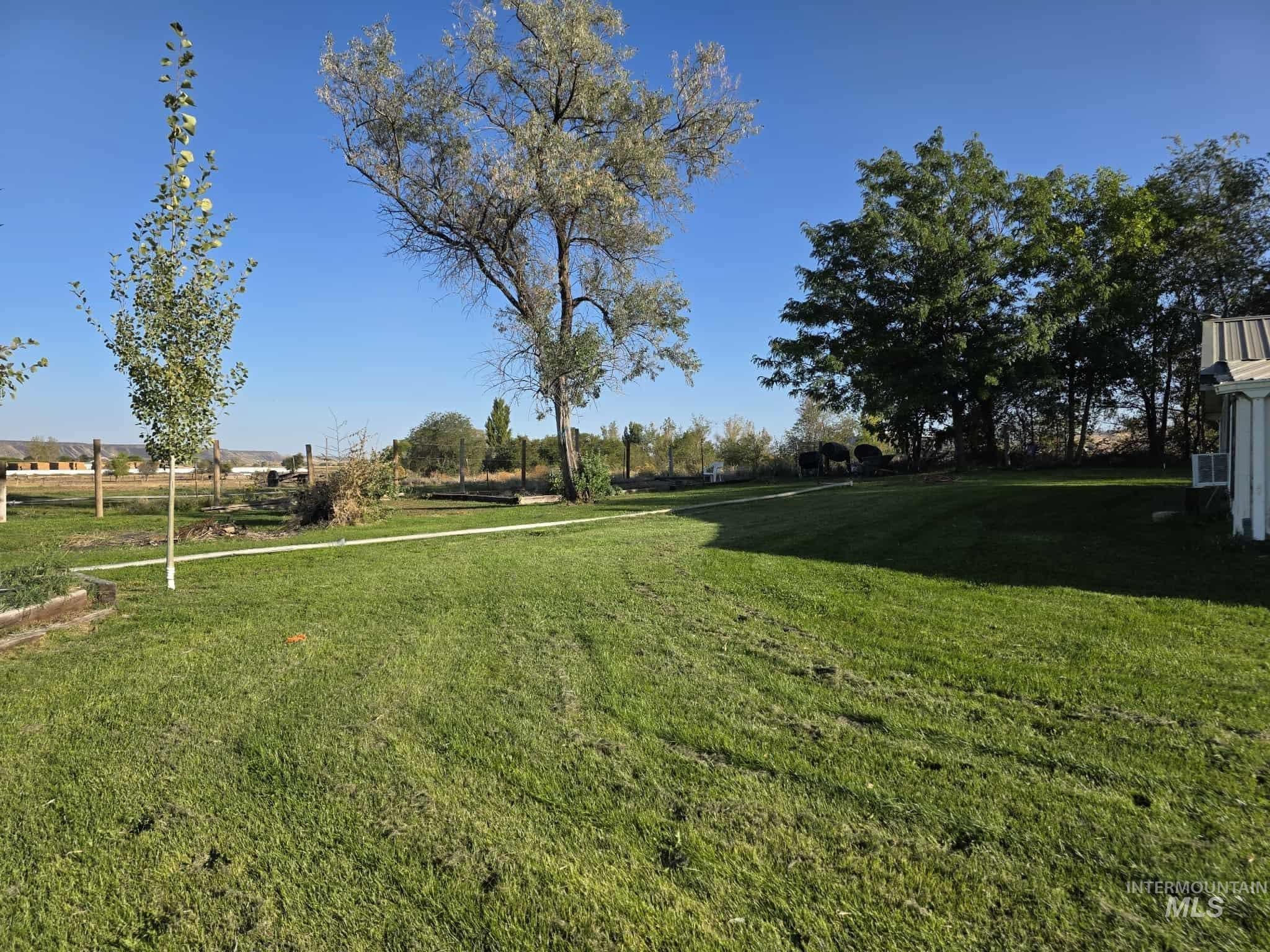 View of grassy yard