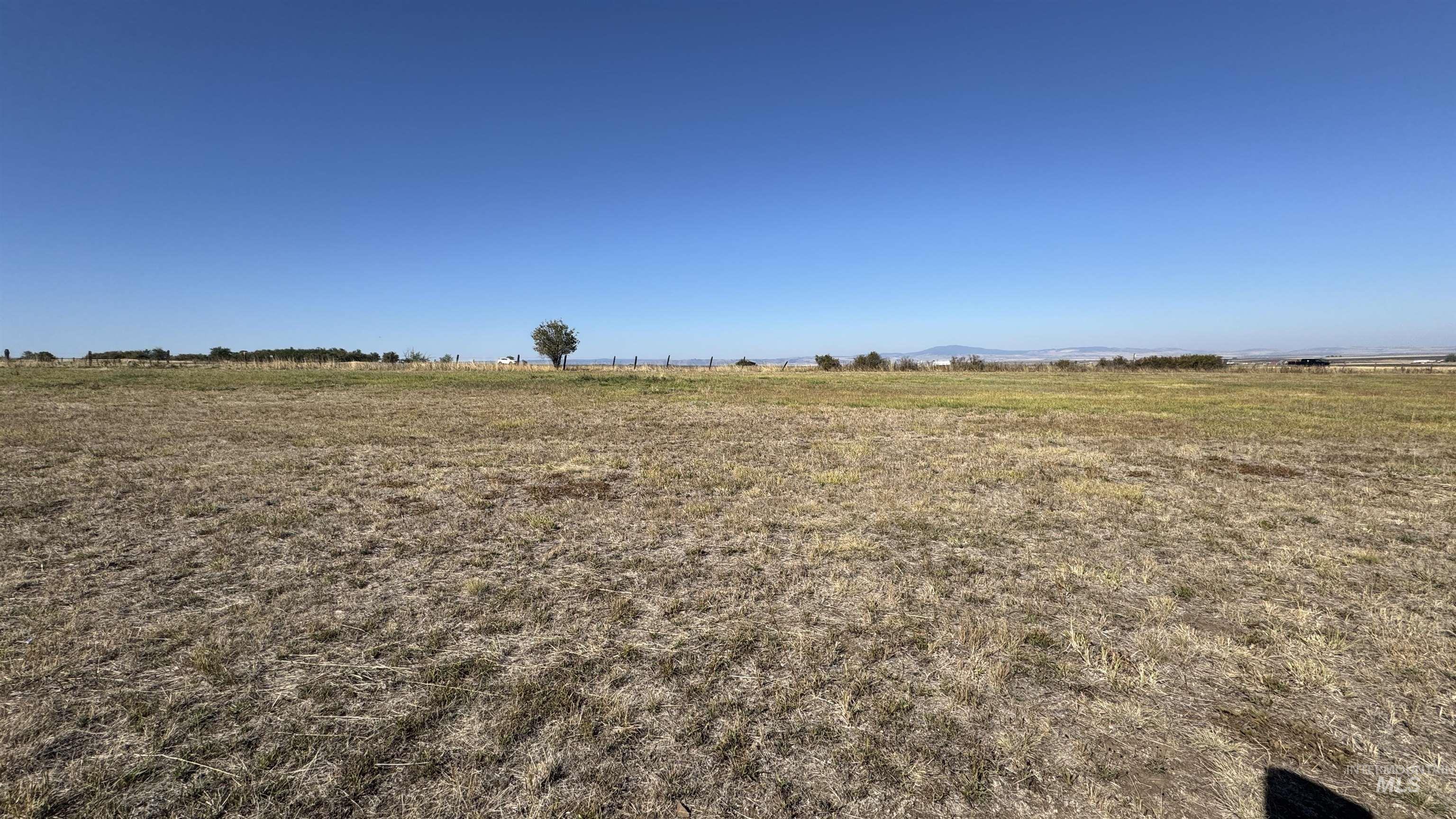 View of yard with a view of rural / pastoral area
