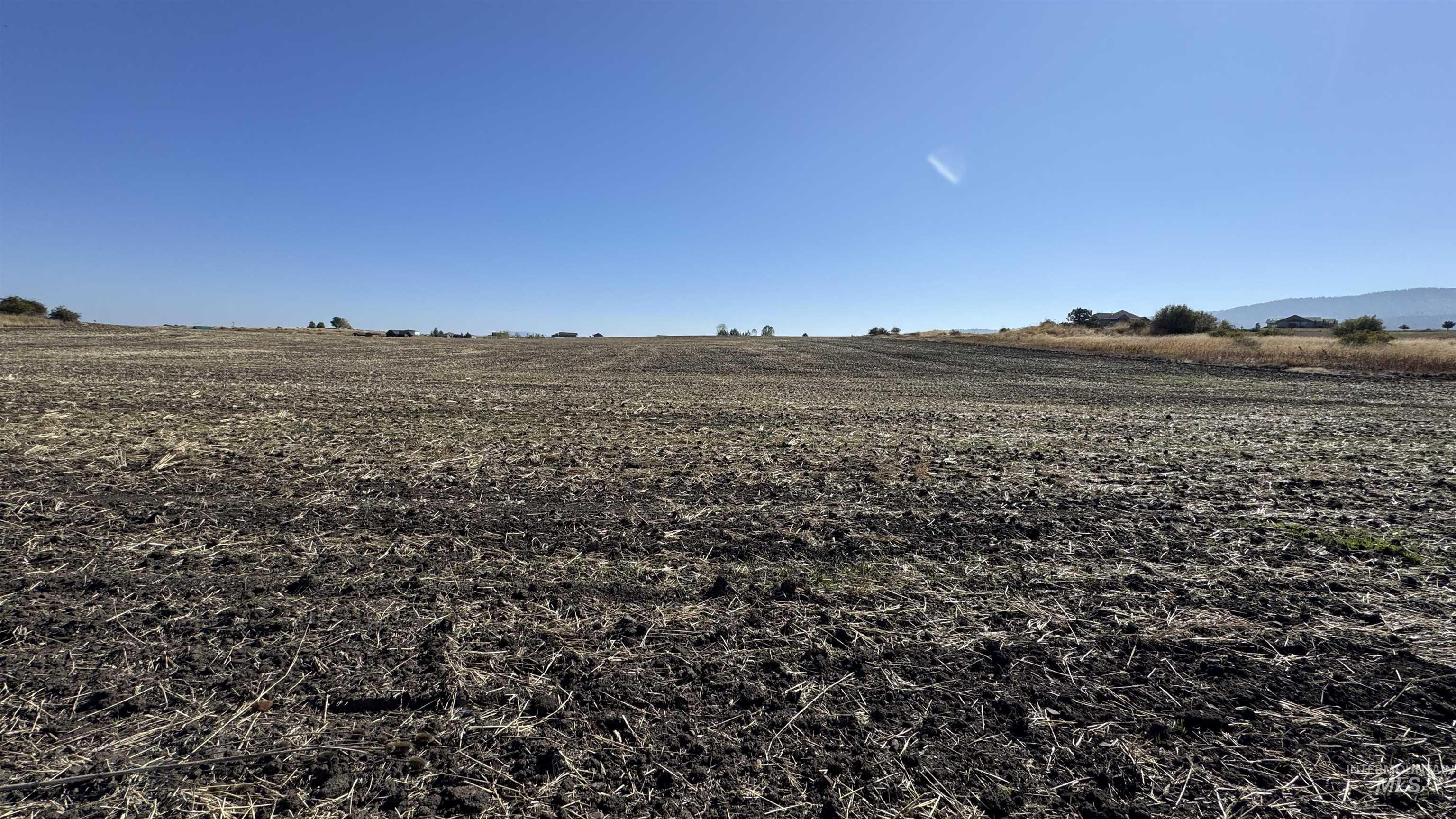 View of yard featuring a view of rural / pastoral area