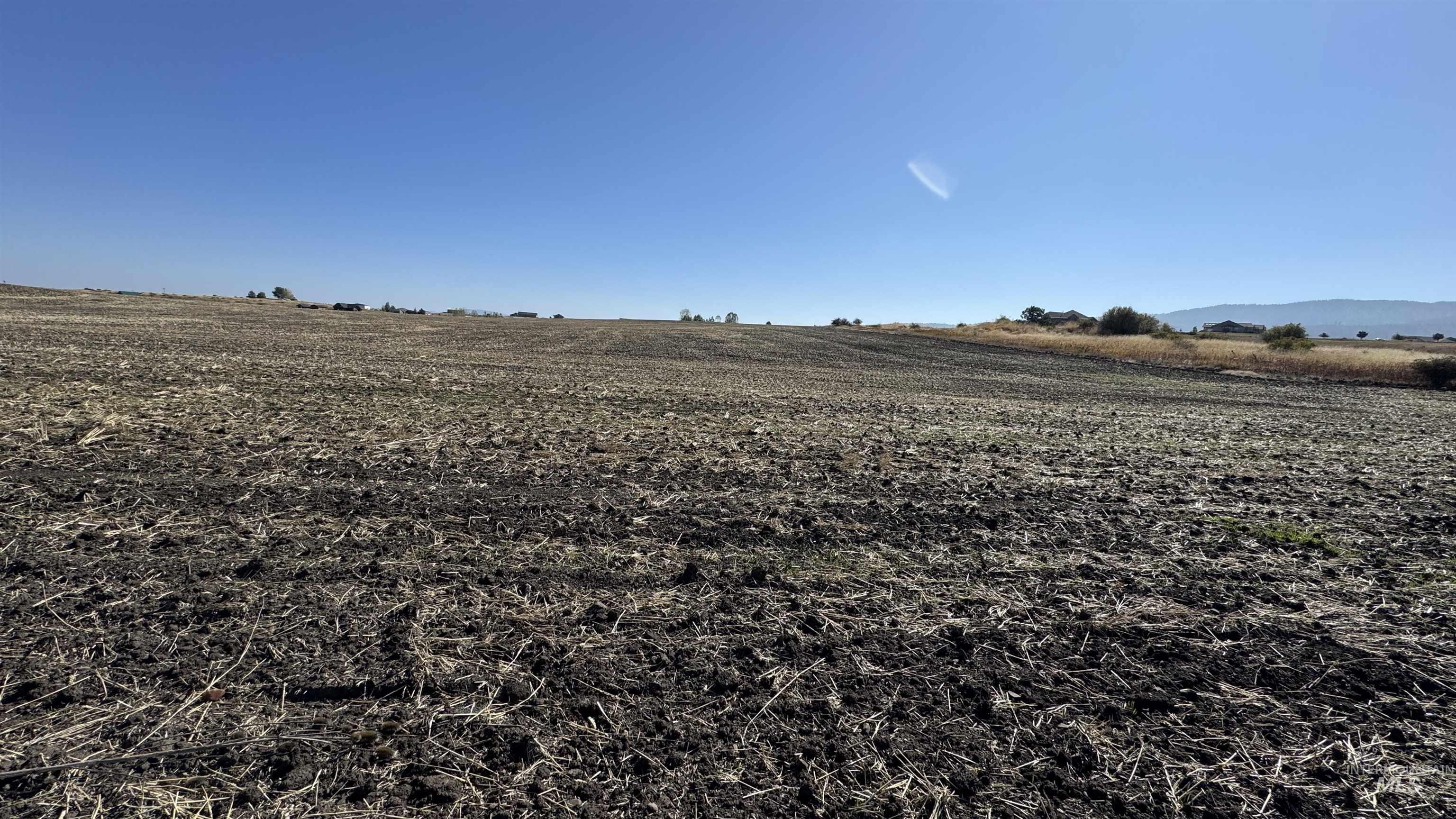 View of yard featuring a view of rural / pastoral area