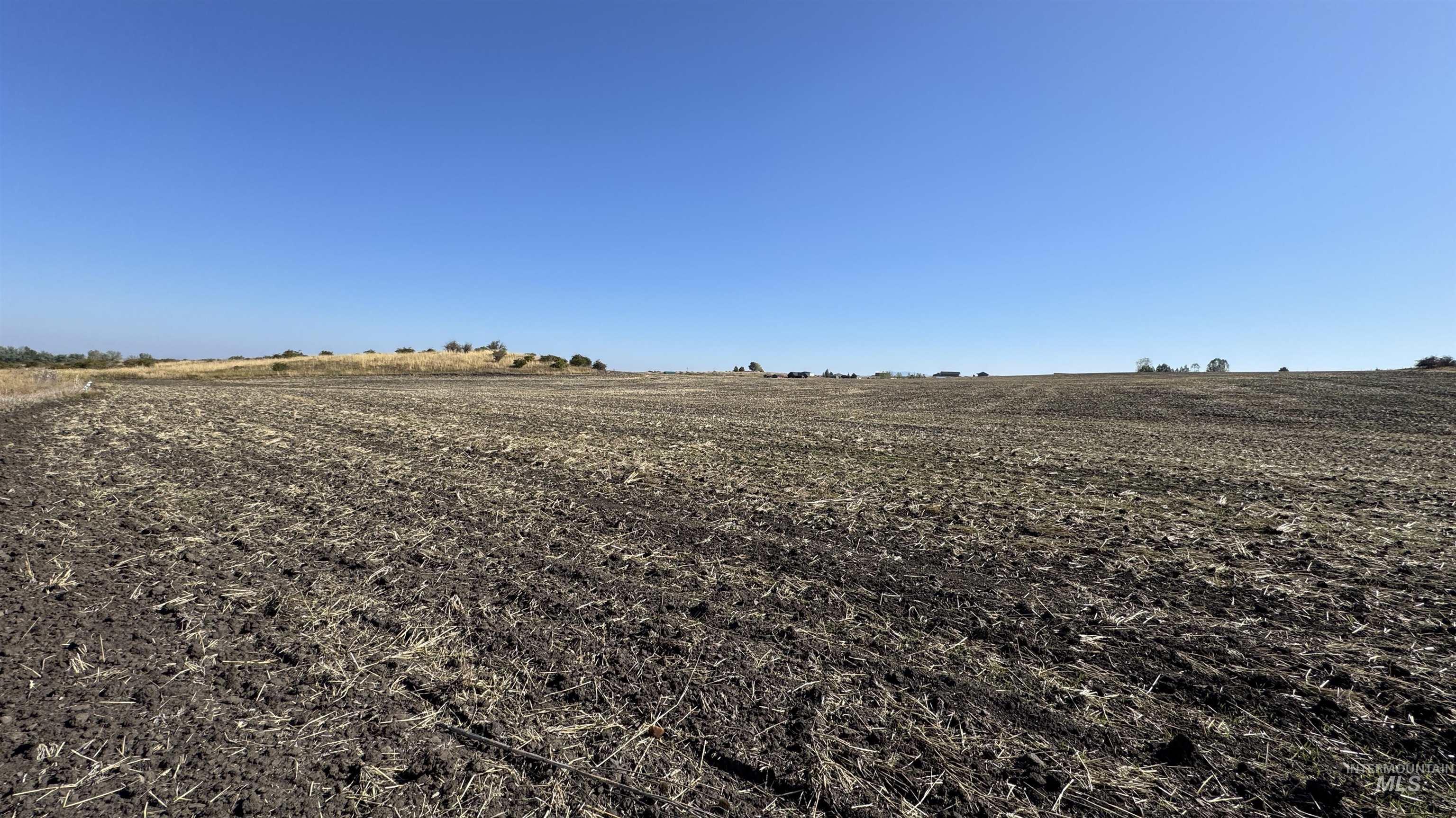 View of yard featuring a view of rural / pastoral area