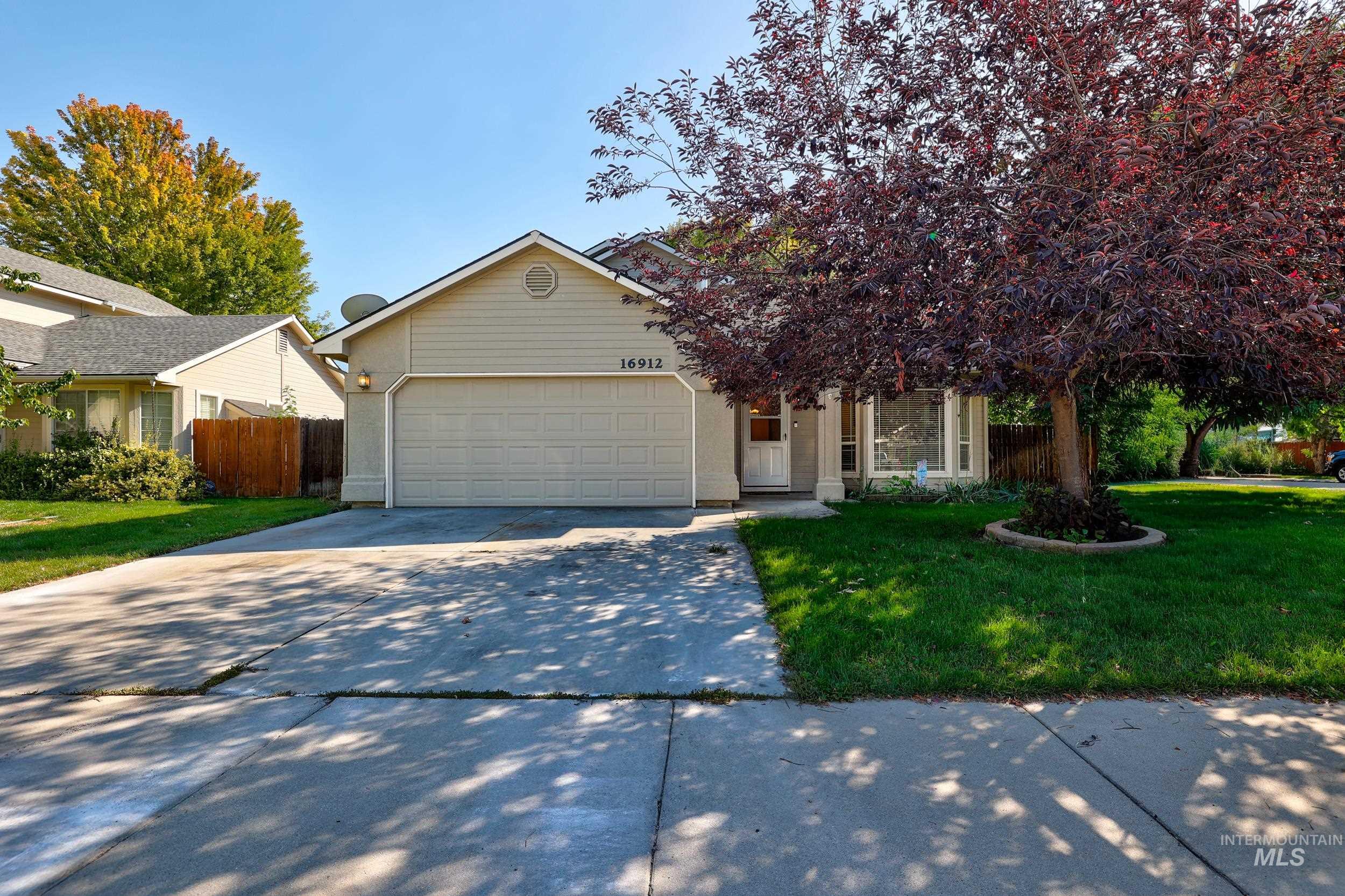View of property hidden behind natural elements with concrete driveway and an attached garage