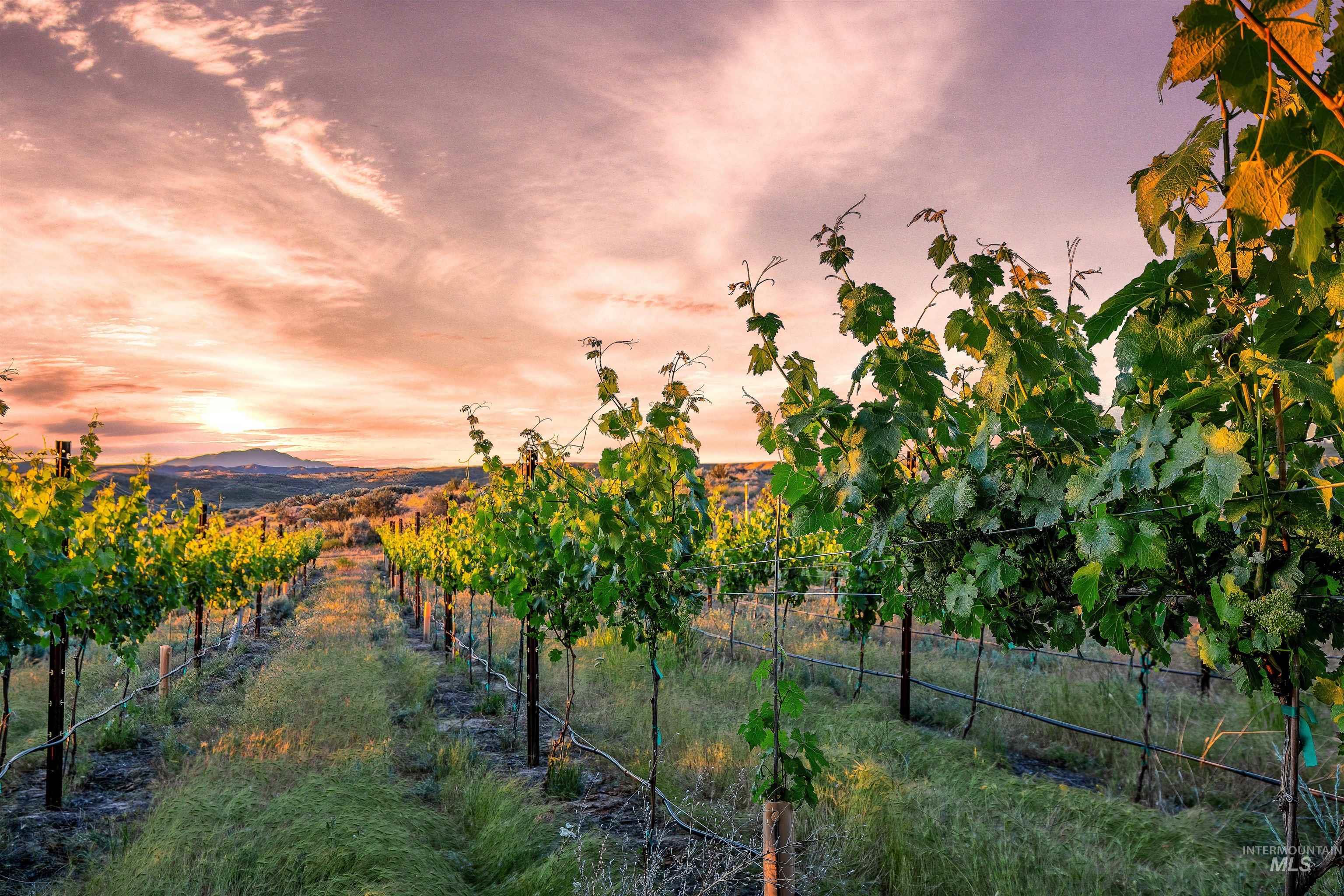 View of yard with a view of countryside