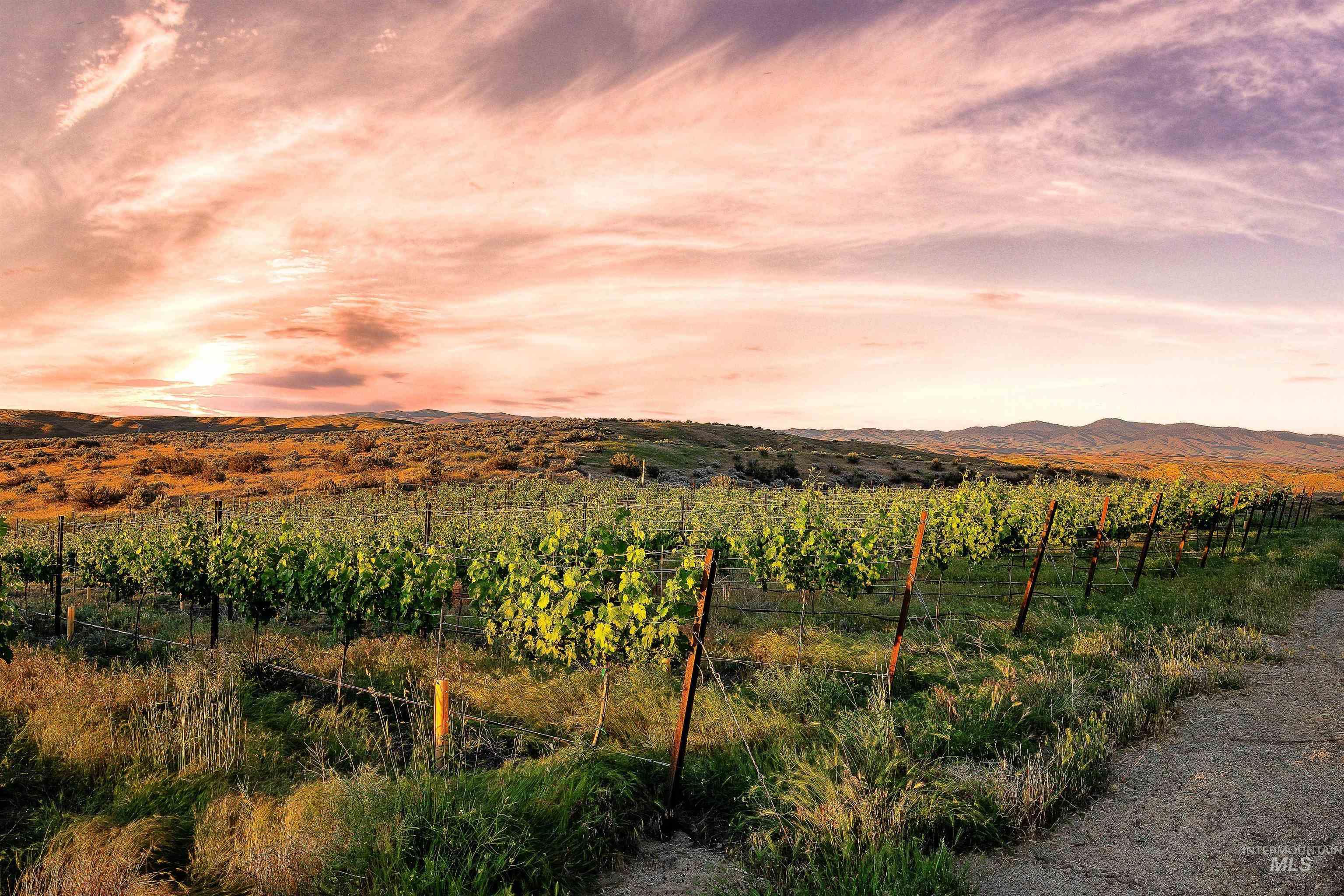 View of mountain background with rural landscape