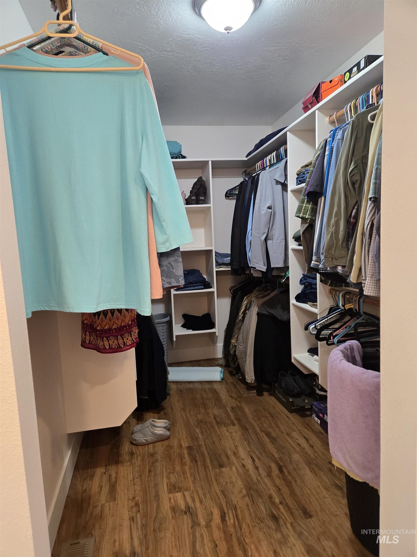 Spacious closet featuring dark wood-type flooring