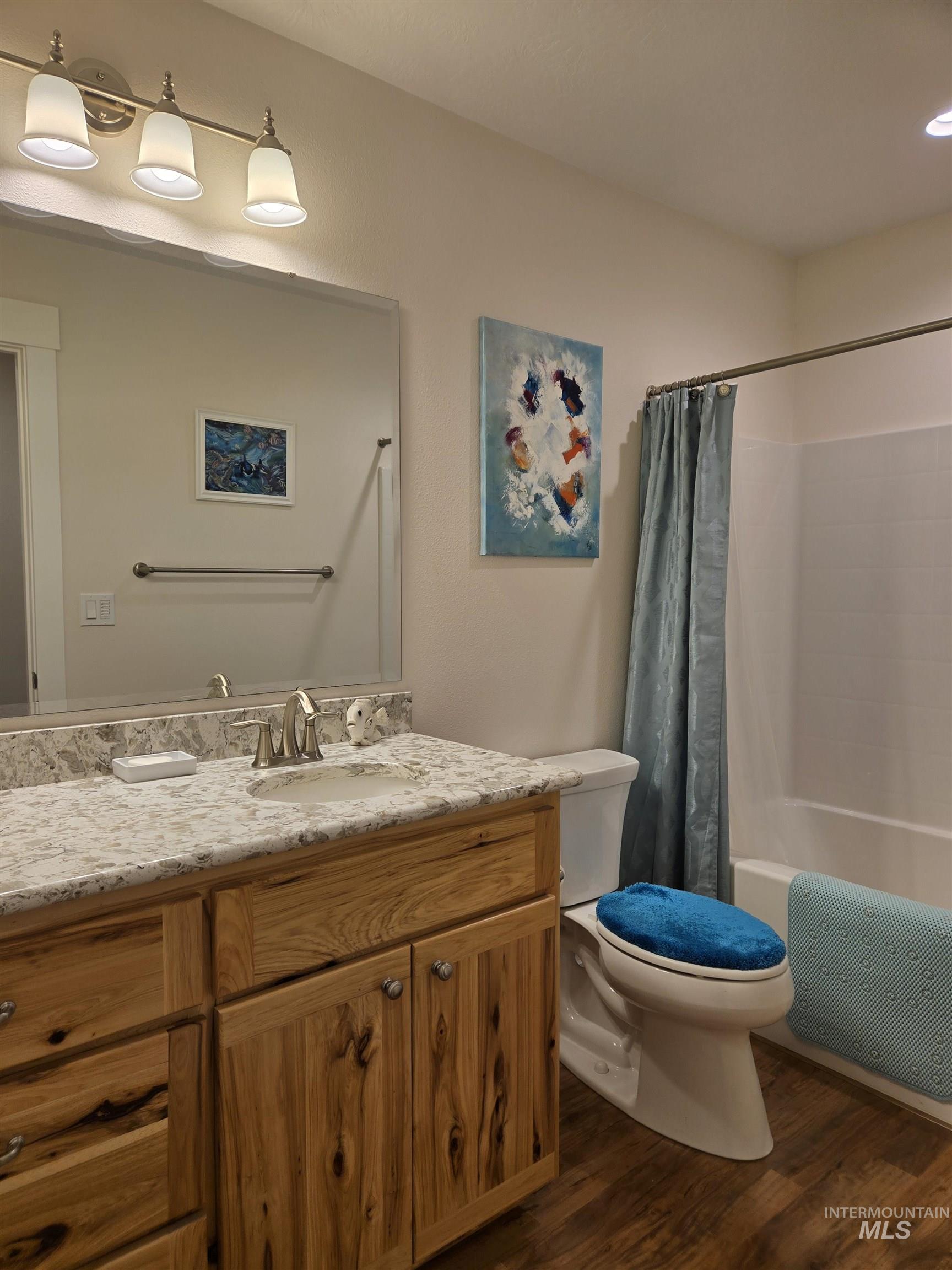 Full bathroom featuring dark wood finished floors, vanity, and shower / bath combo