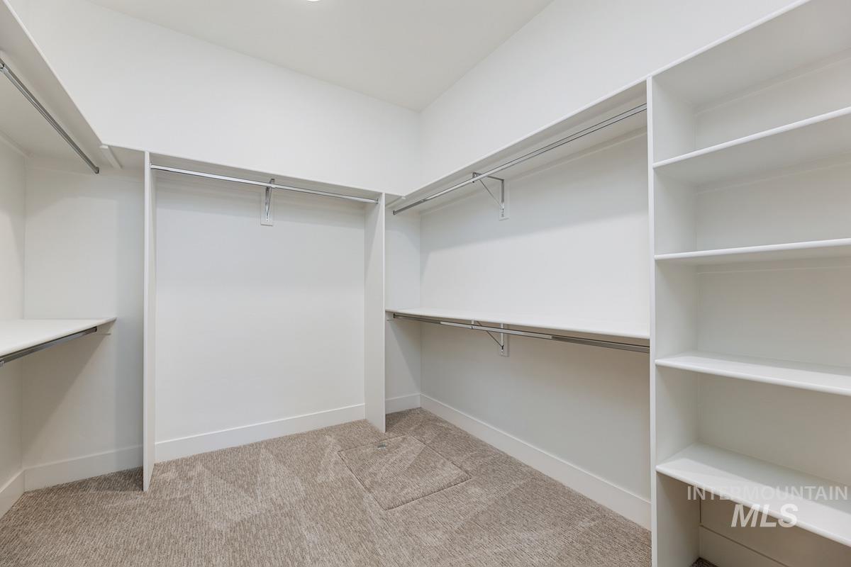 Spacious closet featuring light colored carpet