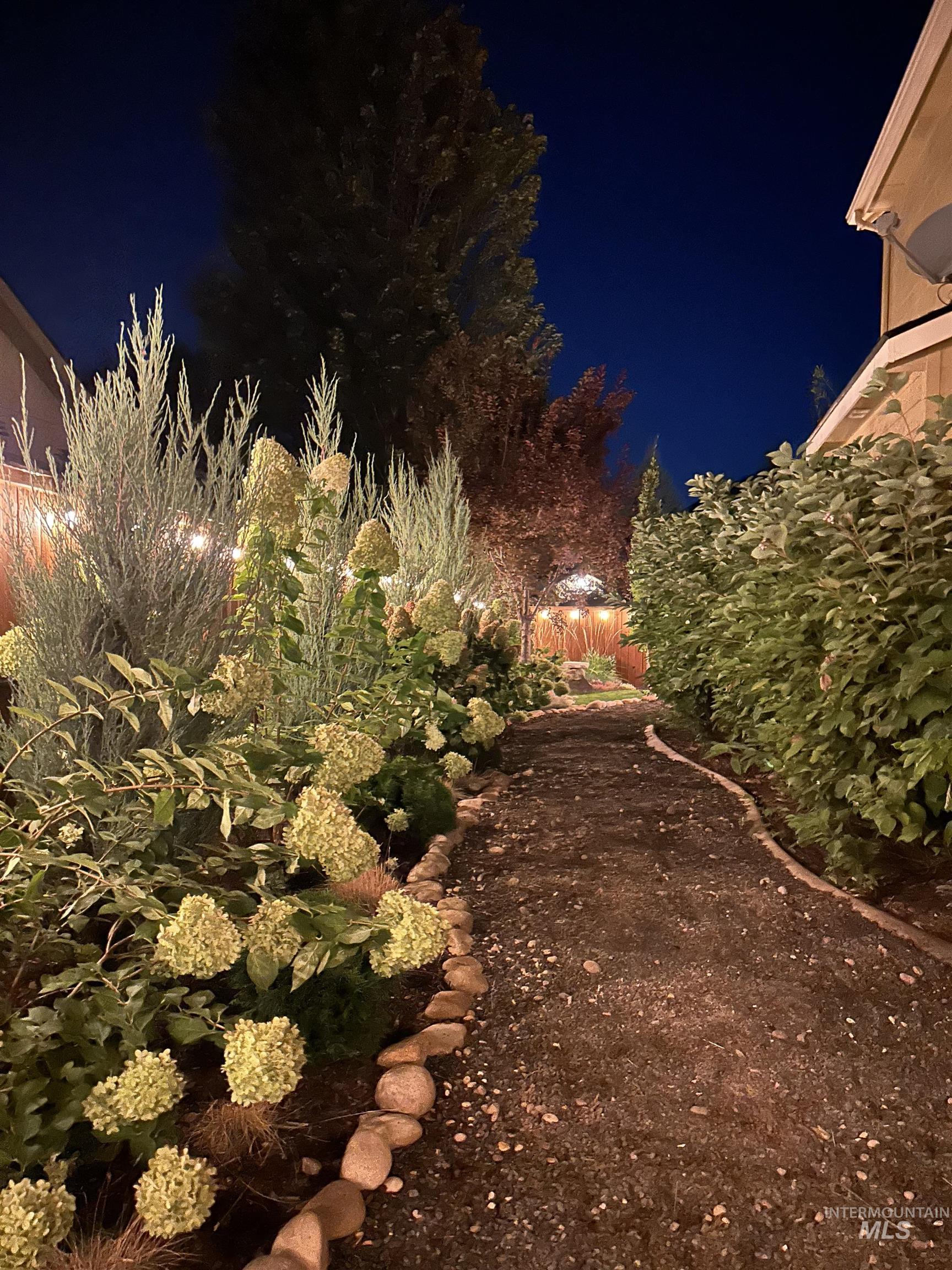 View of yard at twilight