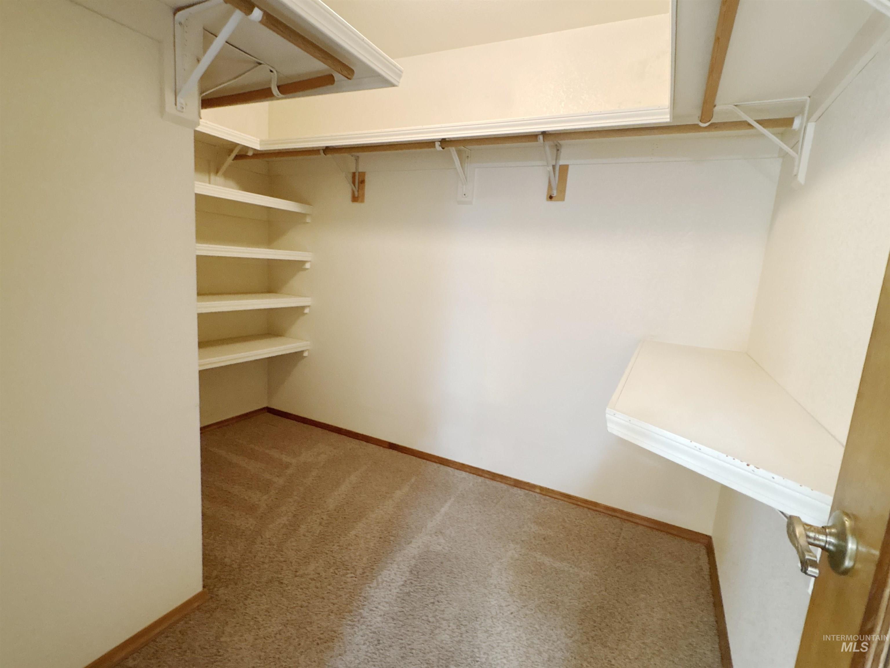 Spacious closet featuring carpet flooring