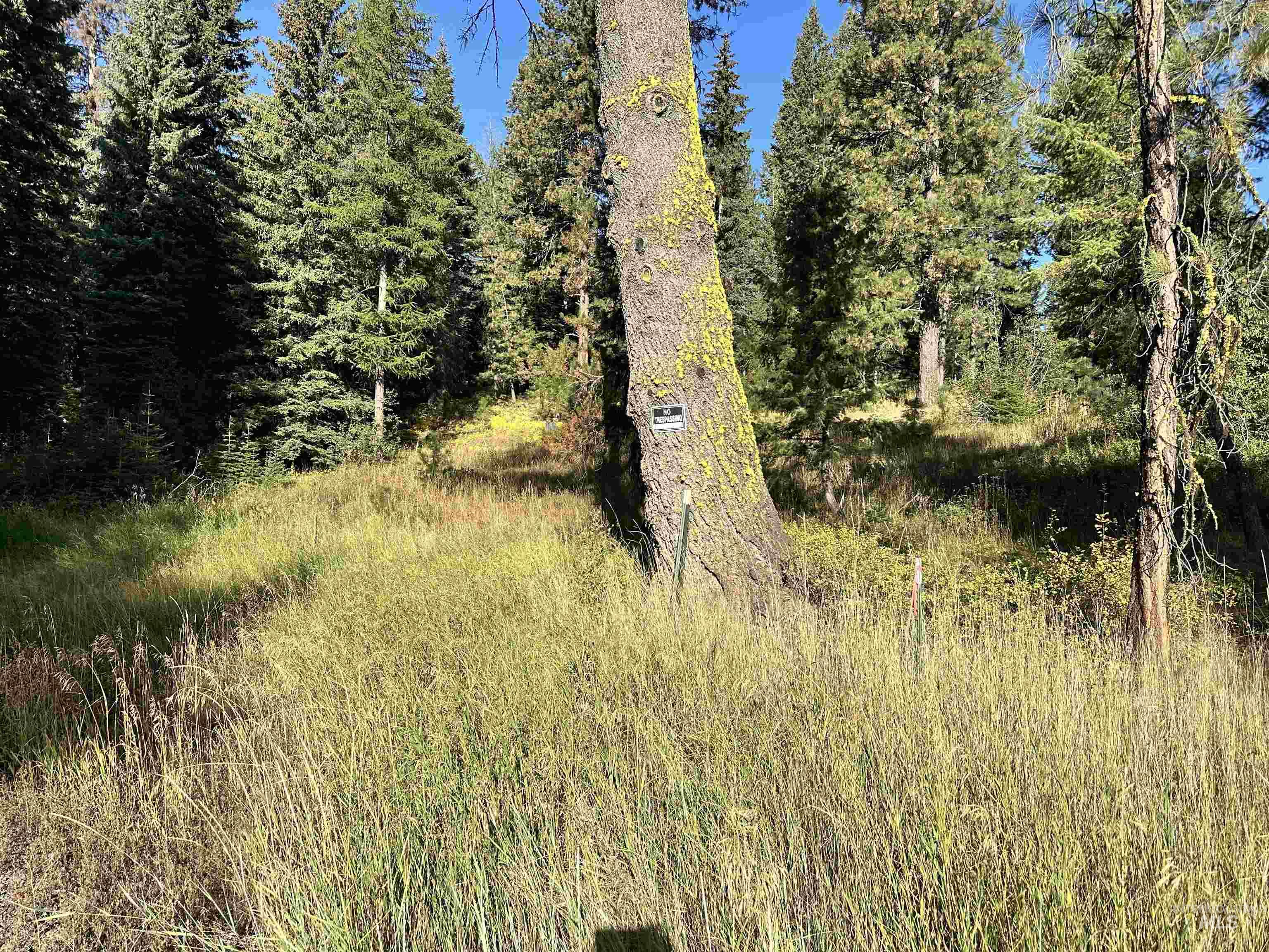 20 Andy, Donnelly, Idaho 83638, Land For Sale, Price $204,000, 98962330