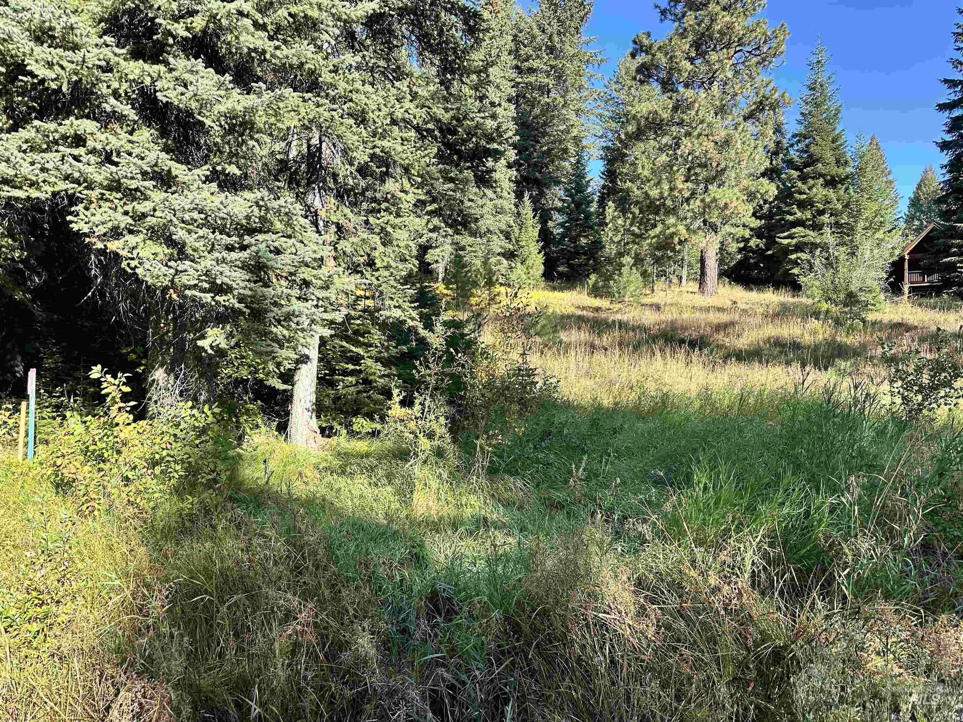2195 Davy, Donnelly, Idaho 83615, Land For Sale, Price $204,000, 98962332