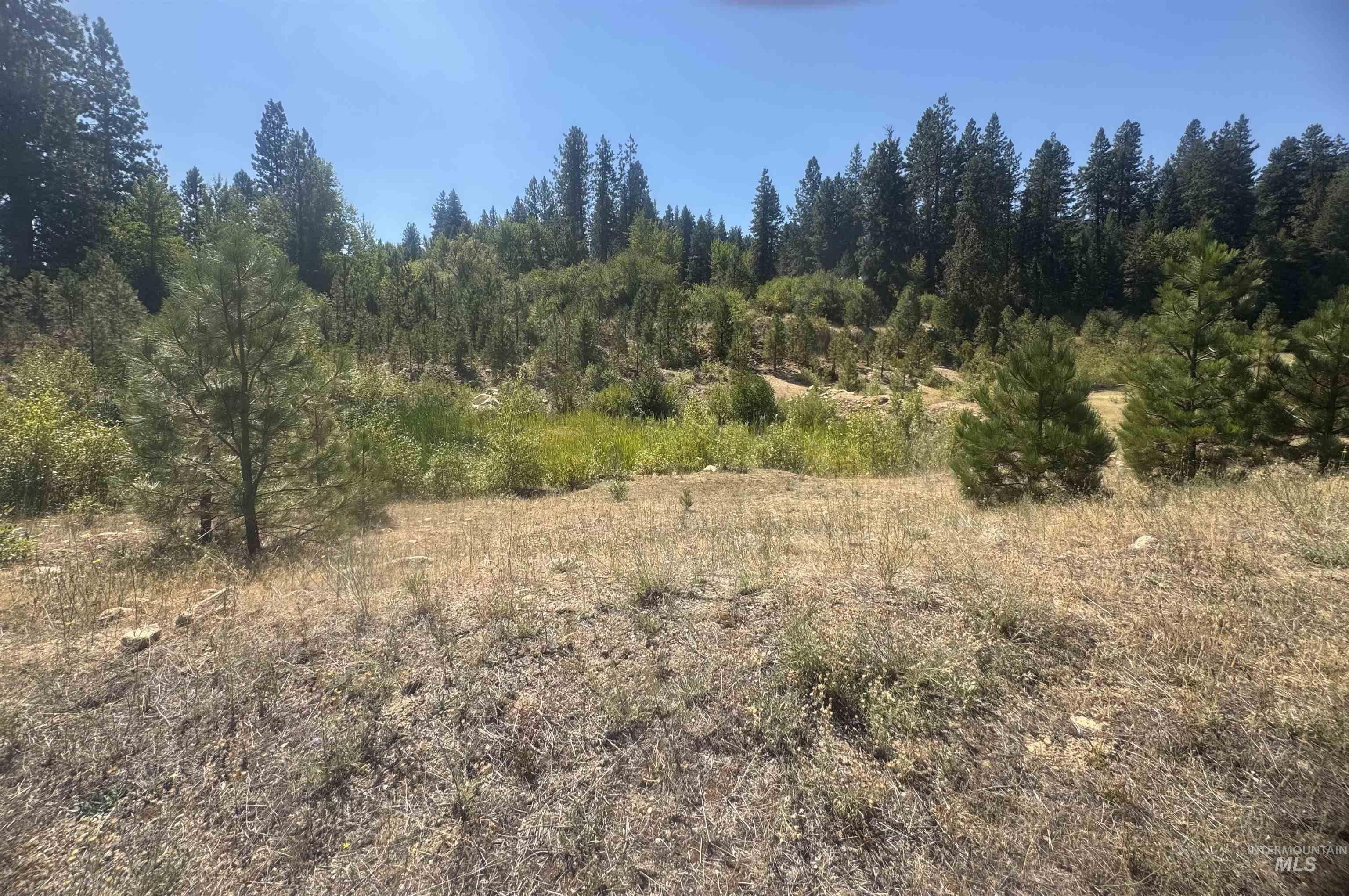 Lt 4 Blk 8 Wapiti Court, Garden Valley, Idaho 83622, Land For Sale, Price $79,900, 98962346