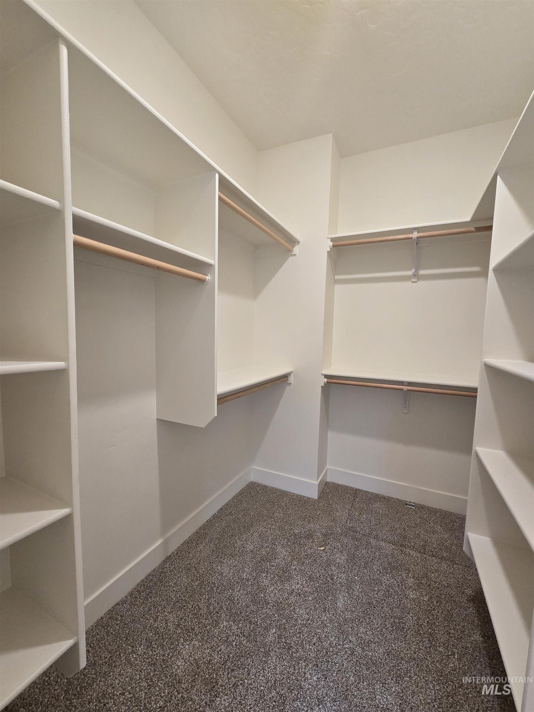 Spacious closet with dark carpet