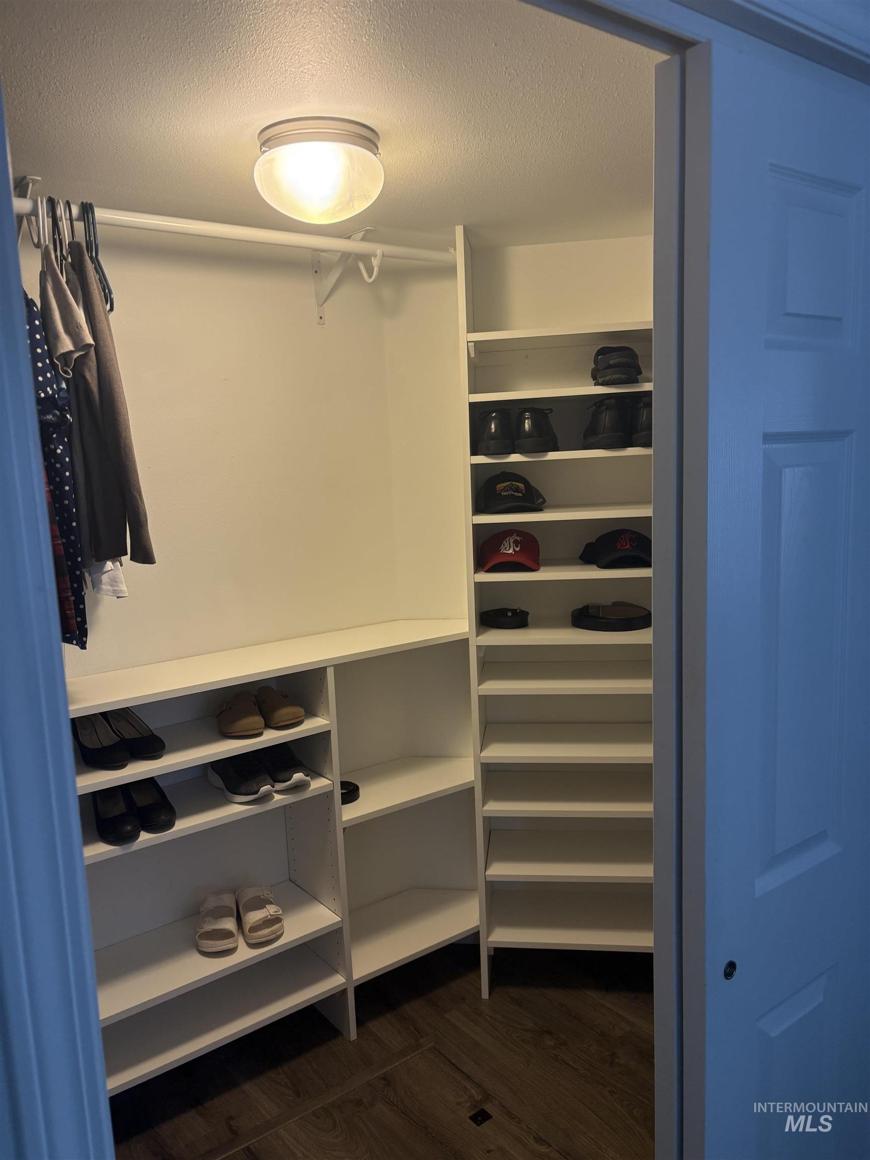 Spacious closet with dark wood-style flooring