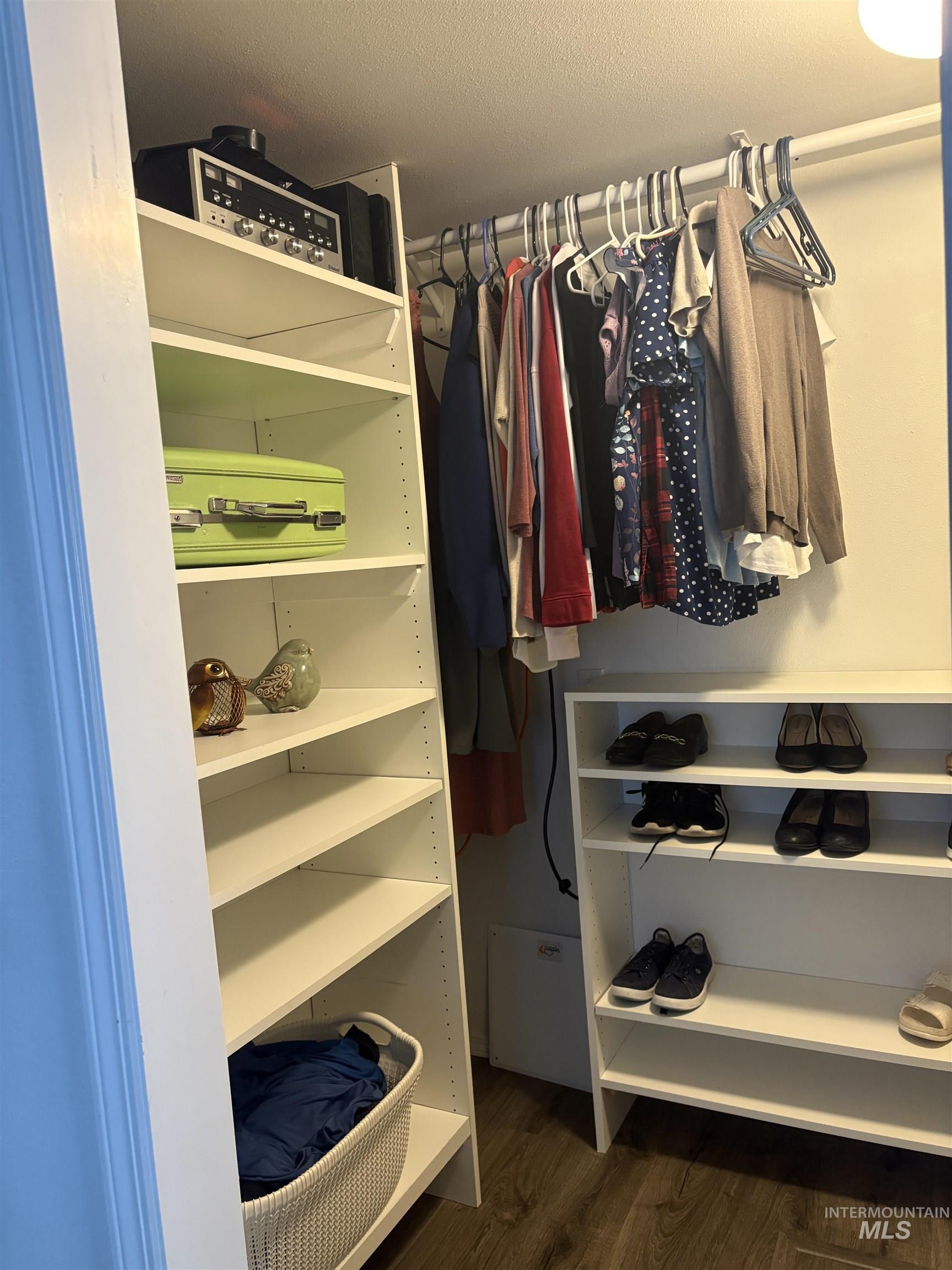 Spacious closet with dark wood-style flooring