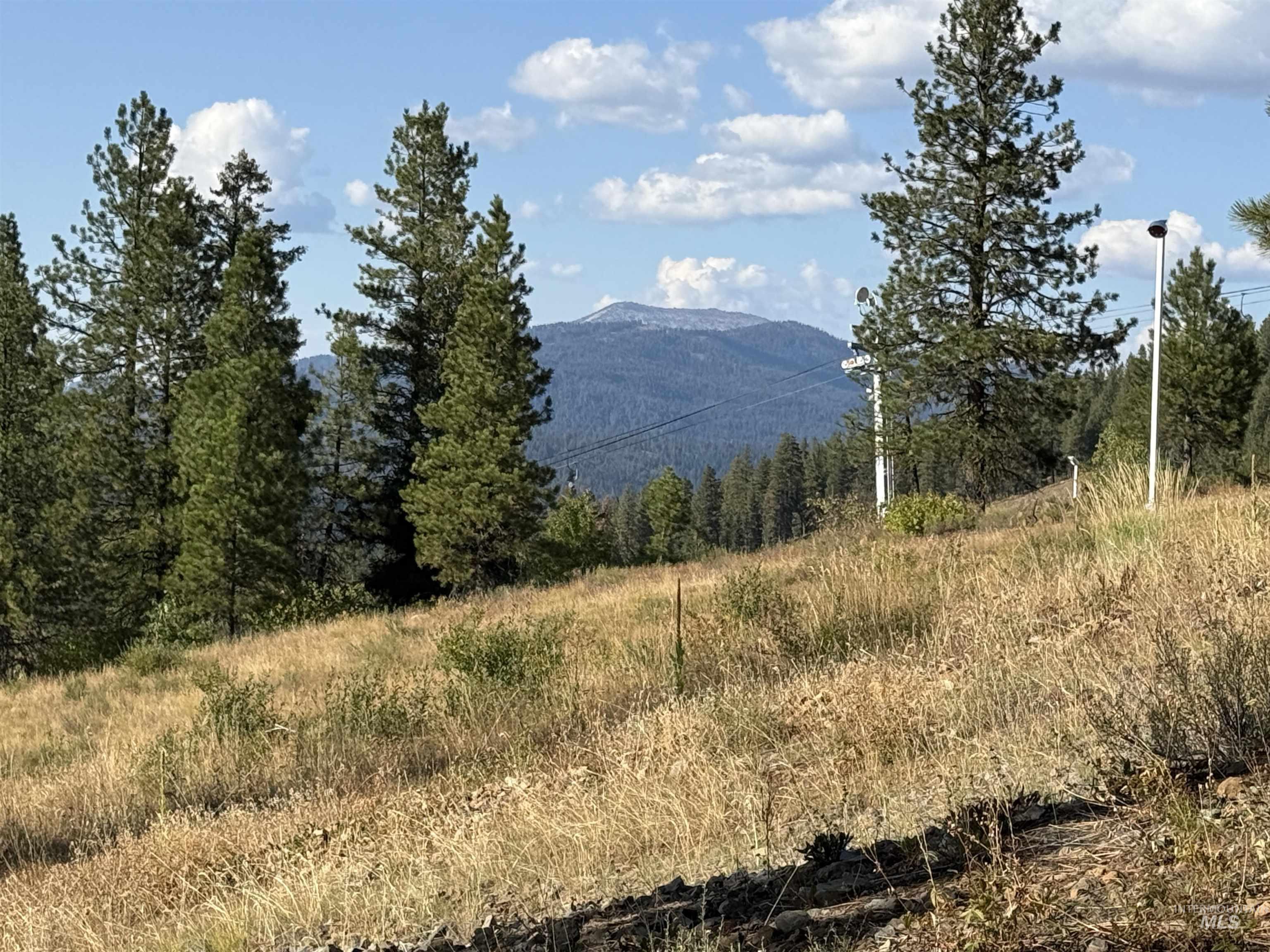 View of mountain background with a heavily wooded area