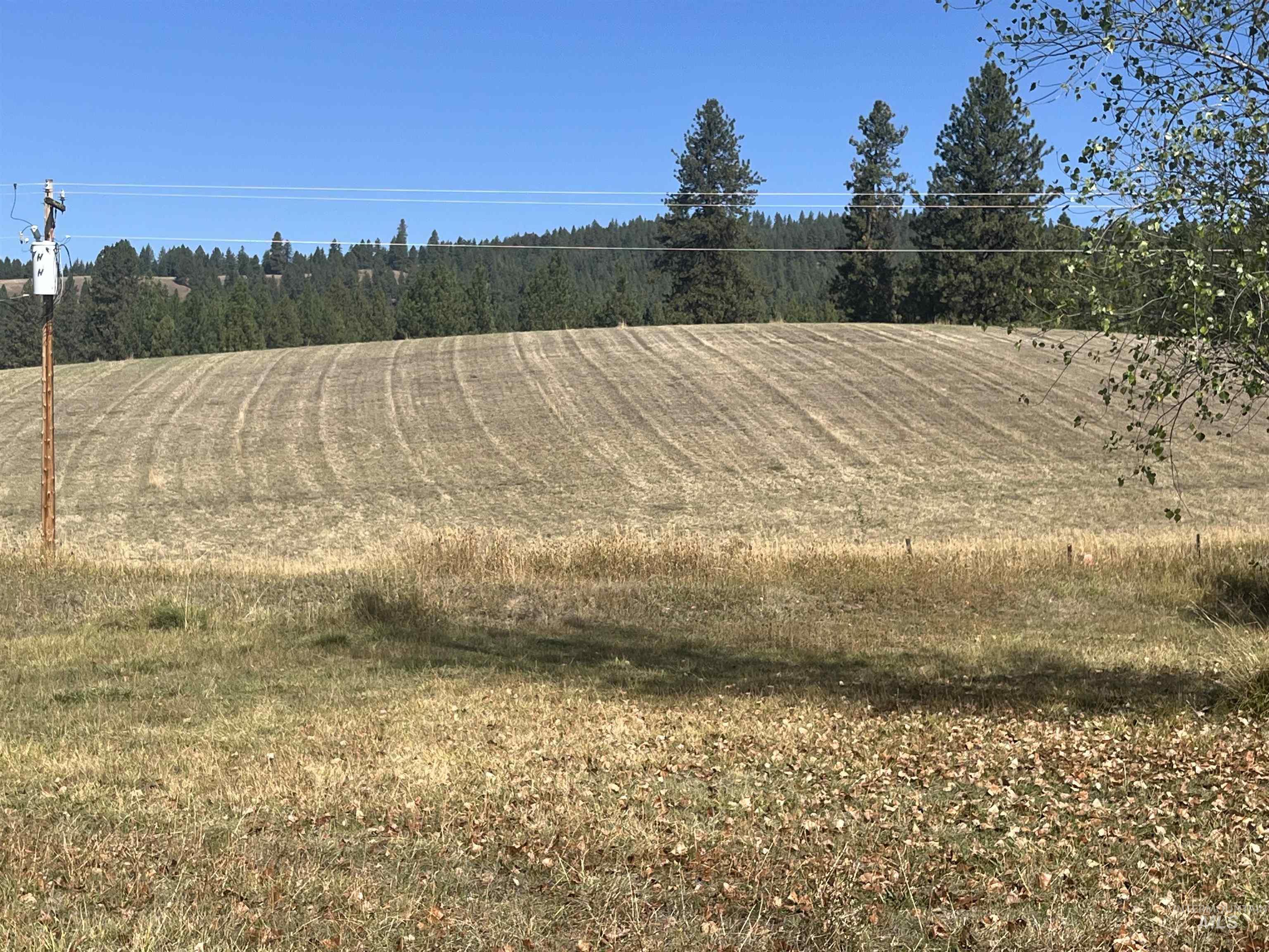 2009 Woodland Road, Kamiah, Idaho 83536, 1 Bedroom, 1 Bathroom, Residential For Sale, Price $159,000, 98962385