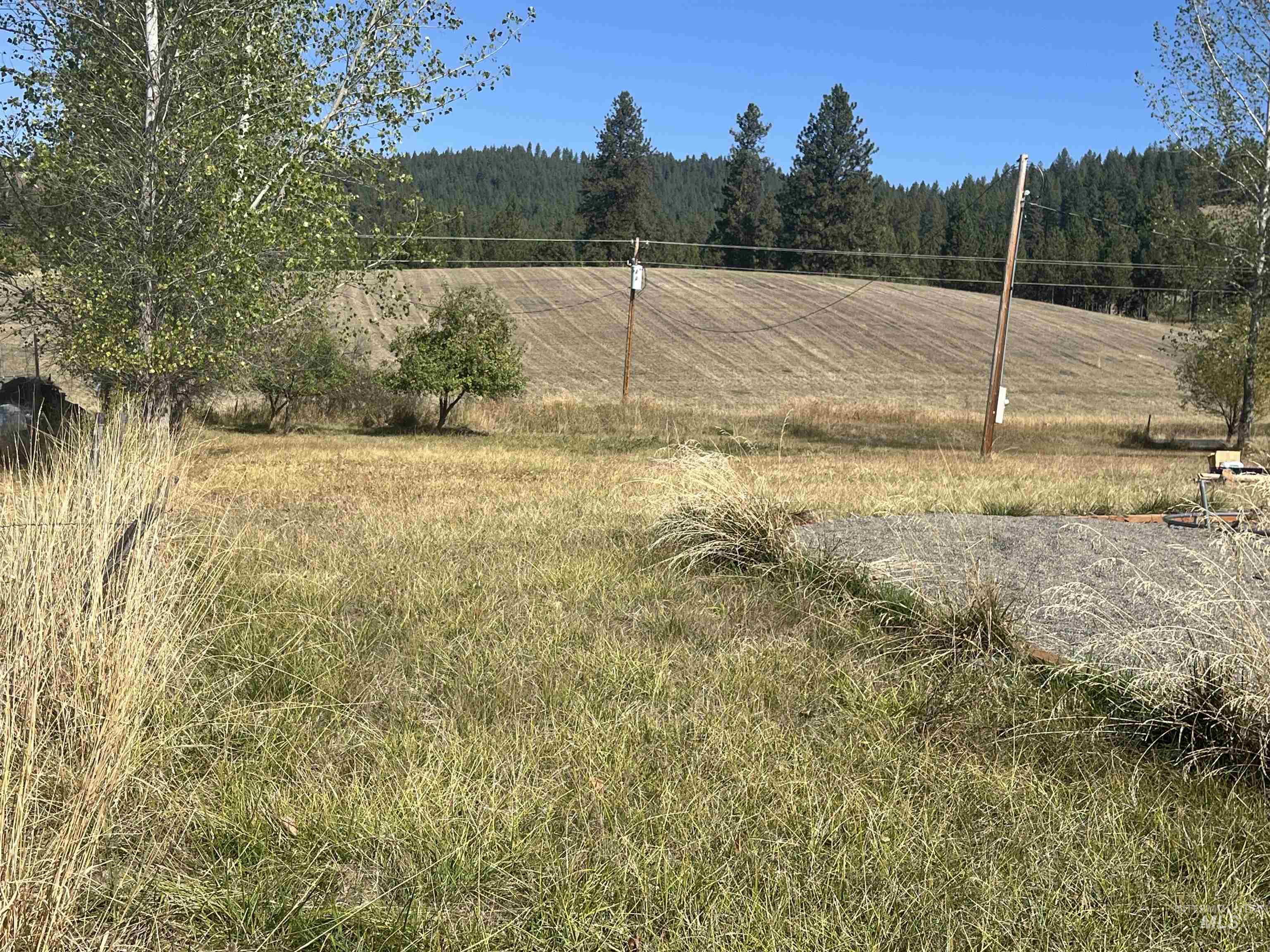 2009 Woodland Road, Kamiah, Idaho 83536, 1 Bedroom, 1 Bathroom, Residential For Sale, Price $159,000, 98962385