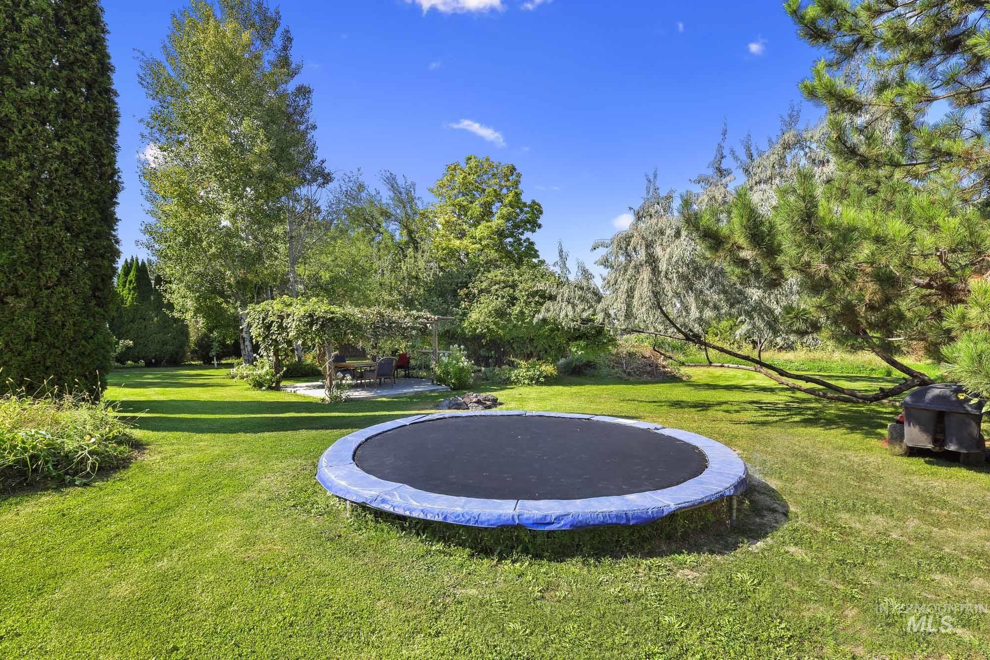 View of the back lawn featuring an inground trampoline, a view of scattered fruit trees and play areas