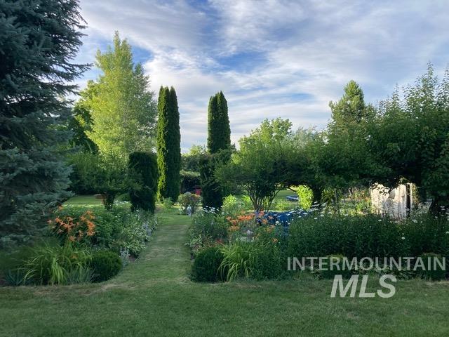 View of back lawn and garden areas