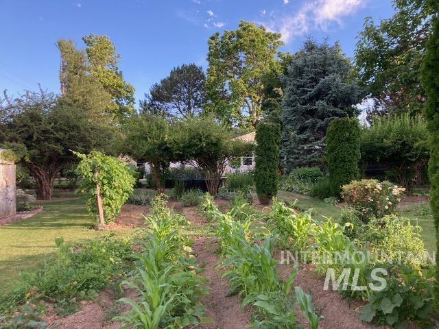 View of lawn and garden areas