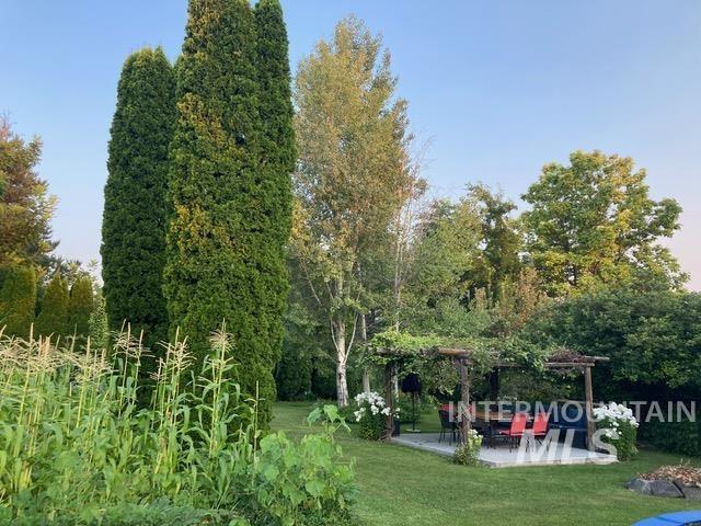 View of property's back yard, grape arbor covered quiet picnic area and patio and gardens