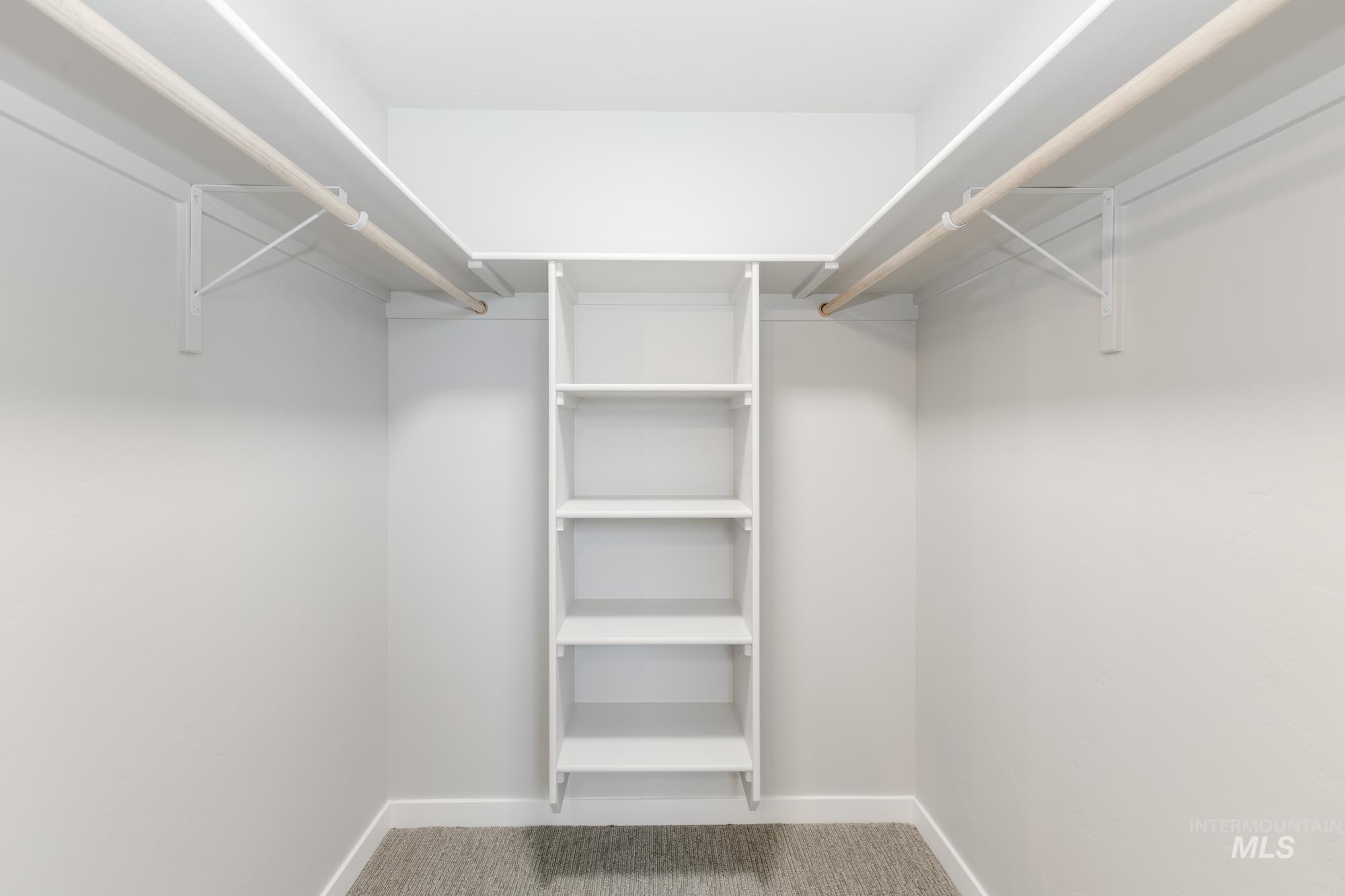 Walk in closet featuring carpet