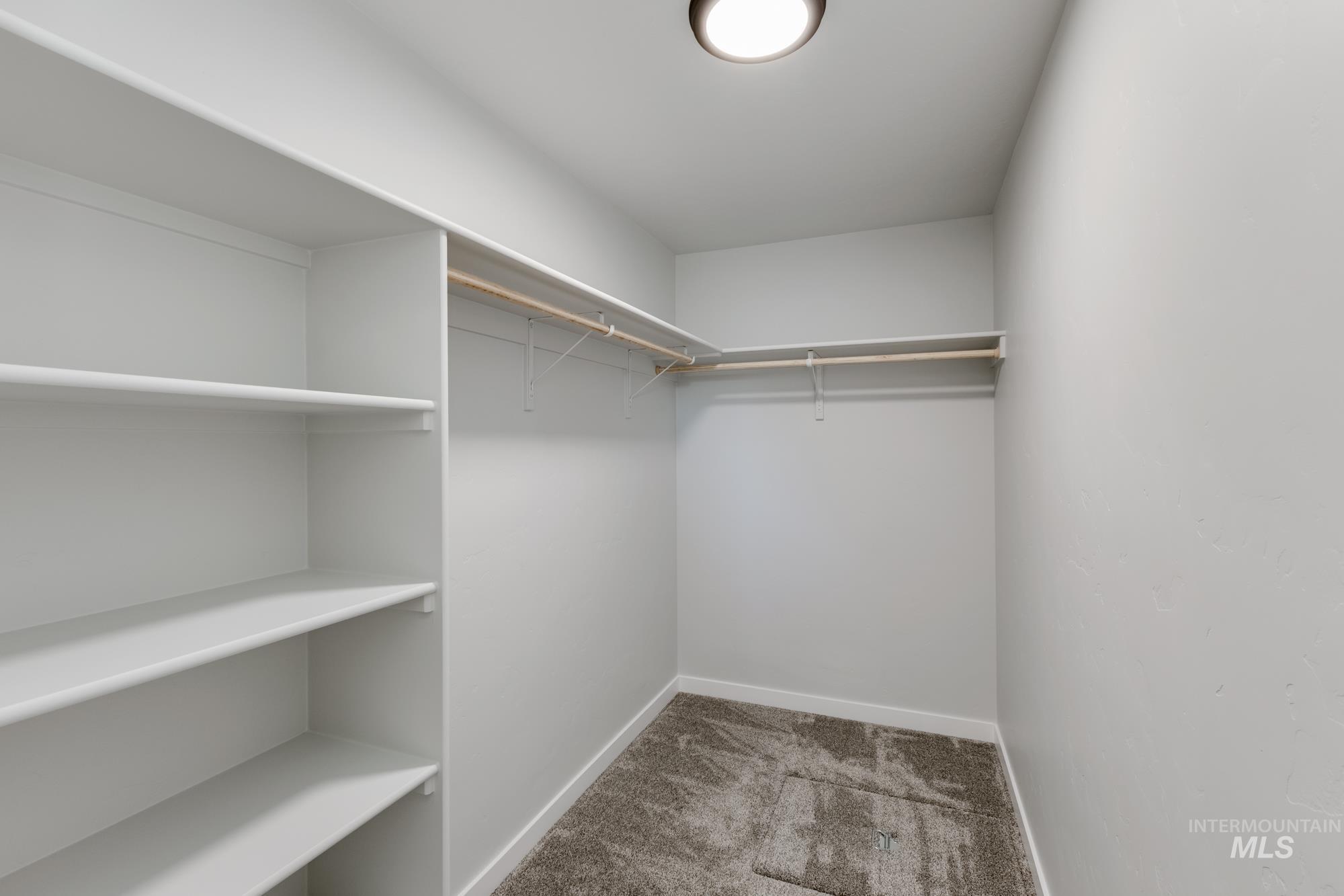 Walk in closet with light colored carpet